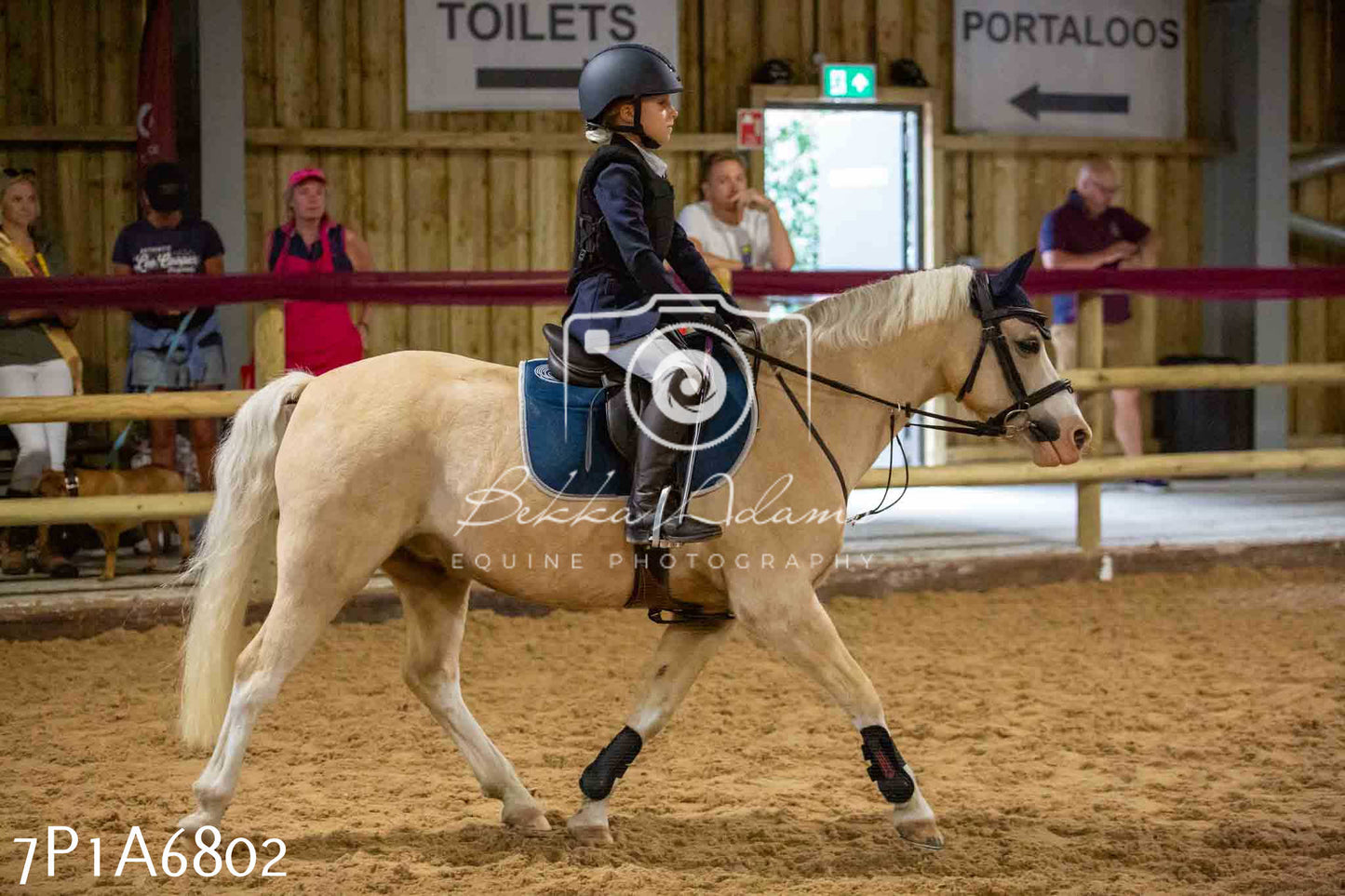 JHOYS 2023 - 16th September - Show Jumping Pt1
