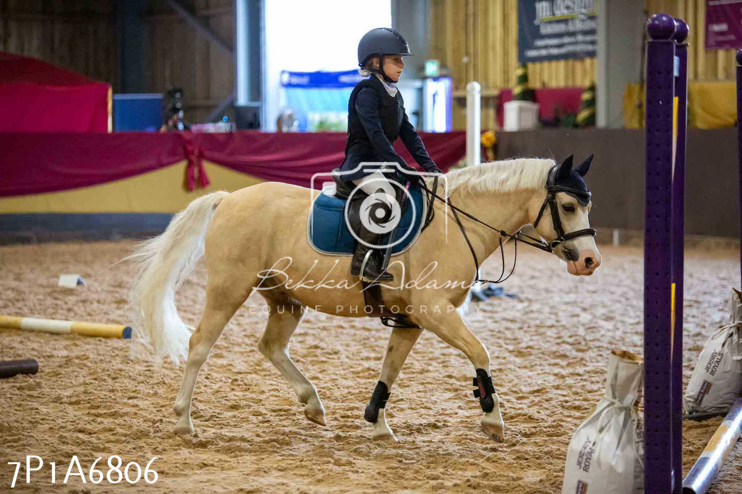 JHOYS 2023 - 16th September - Show Jumping Pt1