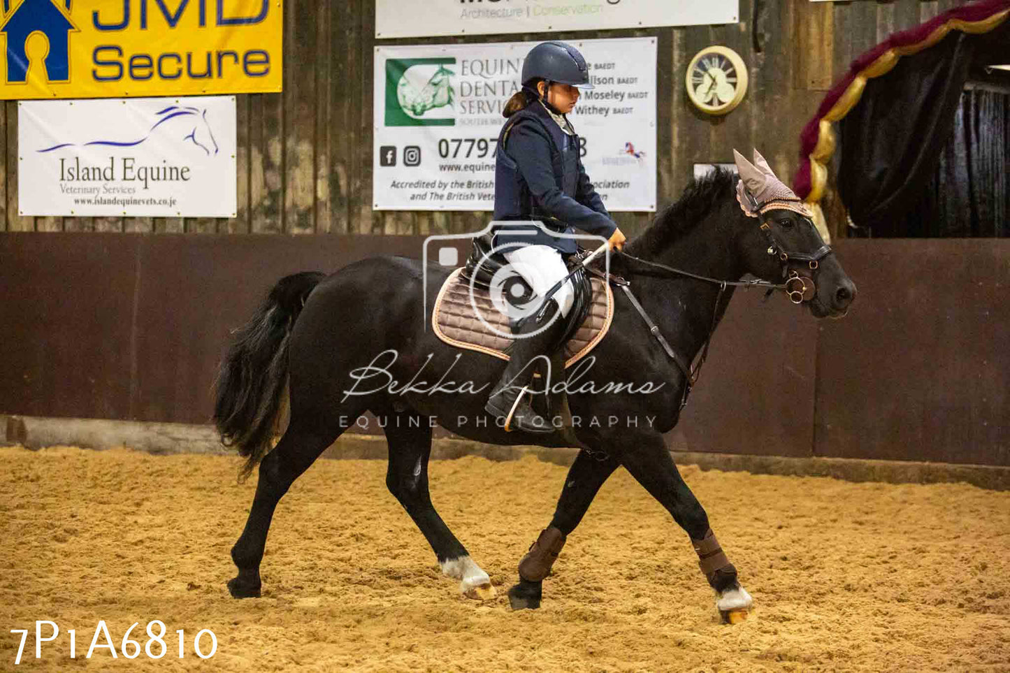 JHOYS 2023 - 16th September - Show Jumping Pt1
