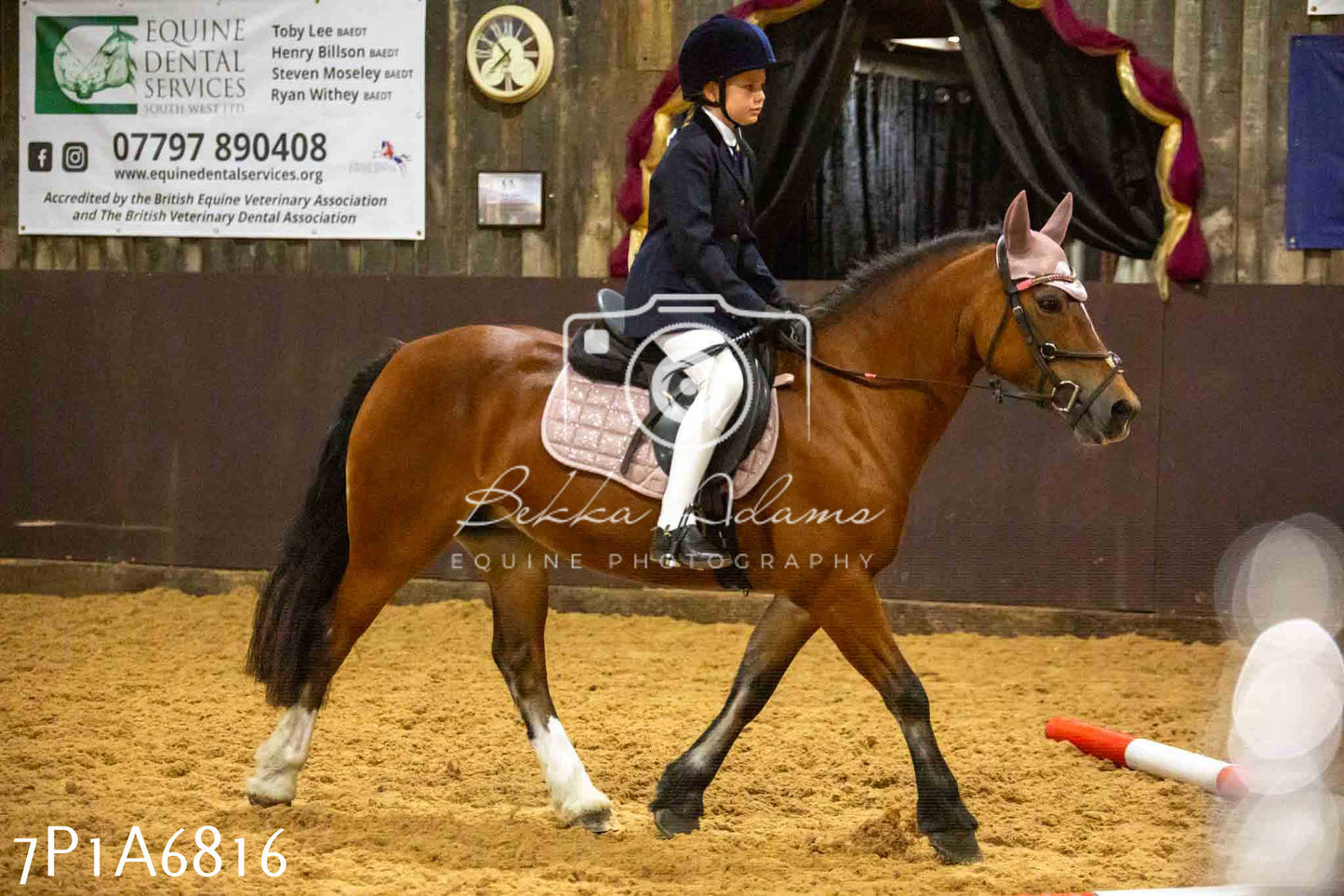 JHOYS 2023 - 16th September - Show Jumping Pt1
