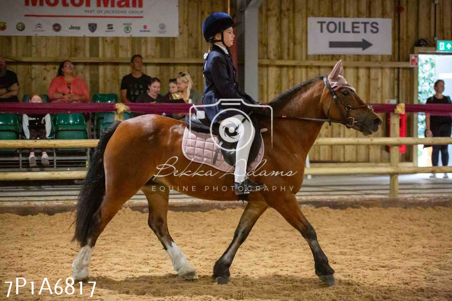 JHOYS 2023 - 16th September - Show Jumping Pt1