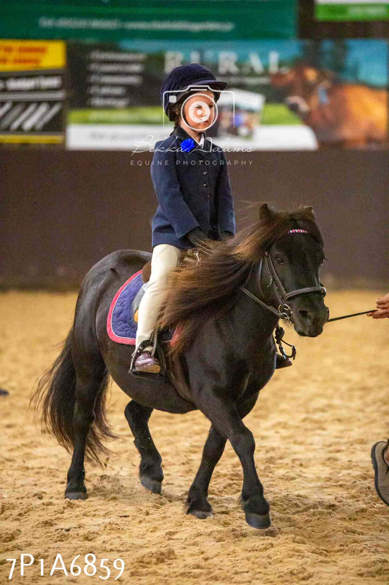 JHOYS 2023 - 16th September - Show Jumping Pt1