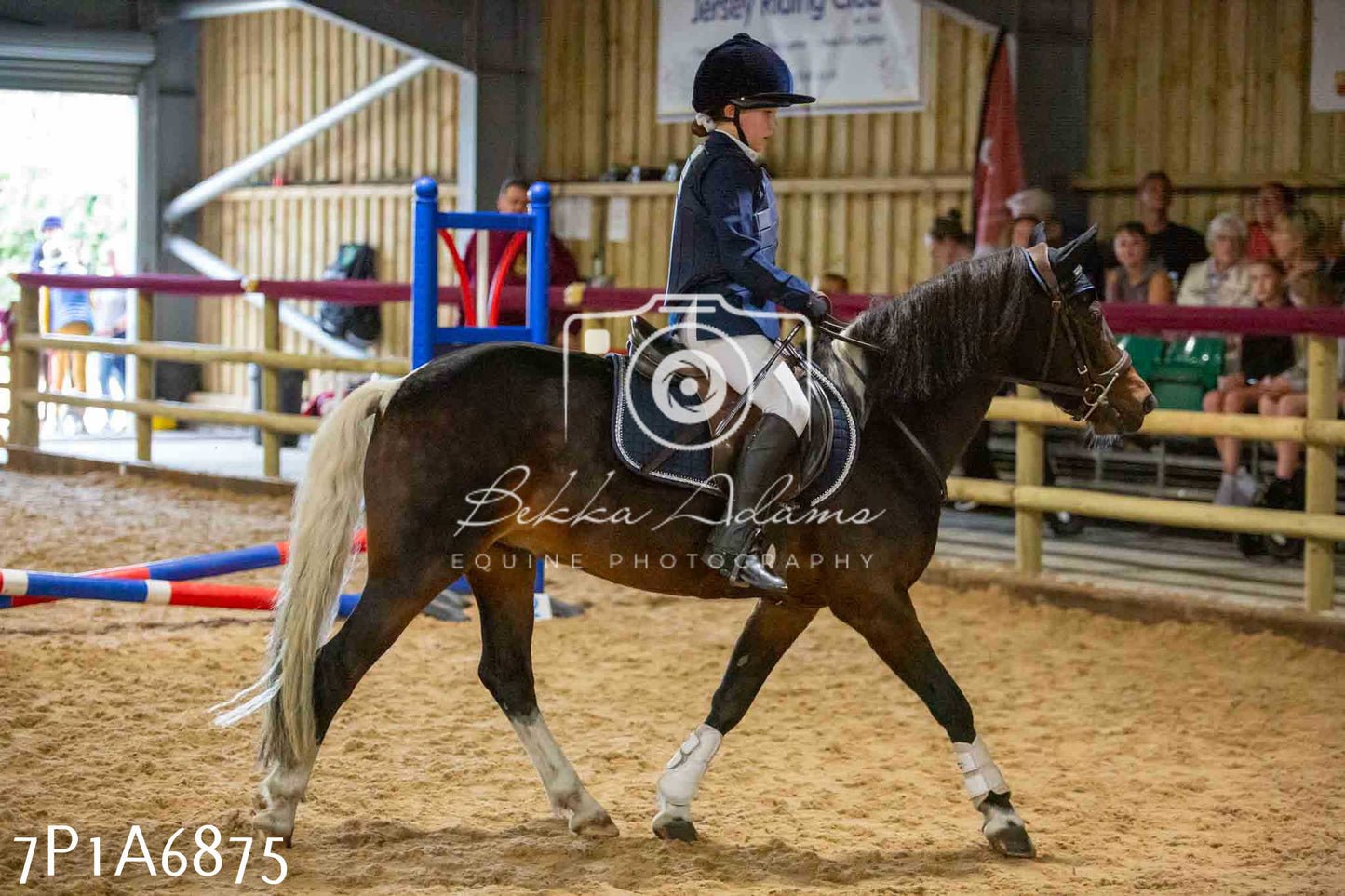 JHOYS 2023 - 16th September - Show Jumping Pt1