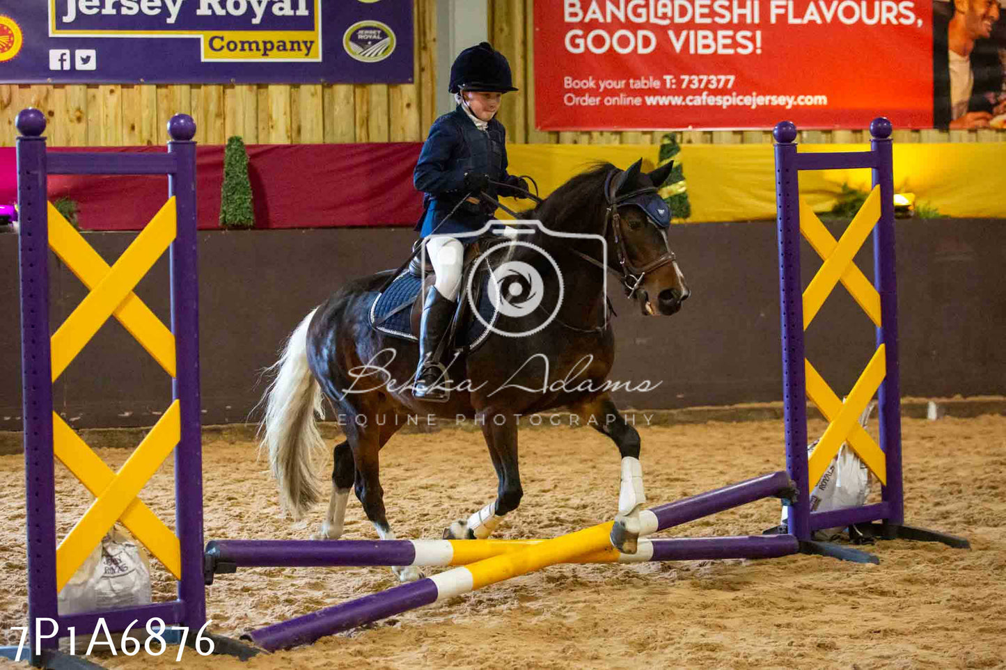 JHOYS 2023 - 16th September - Show Jumping Pt1