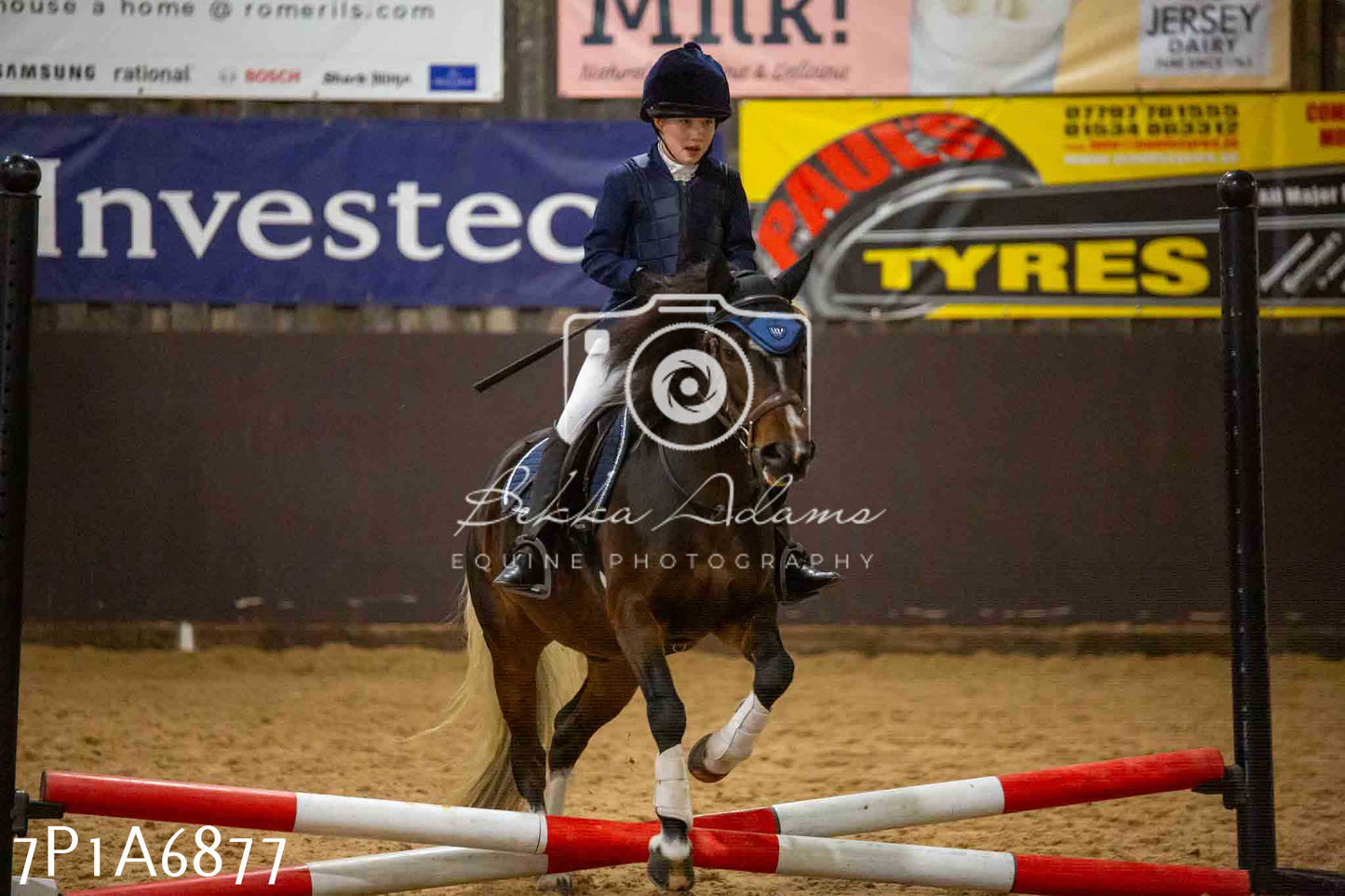 JHOYS 2023 - 16th September - Show Jumping Pt1