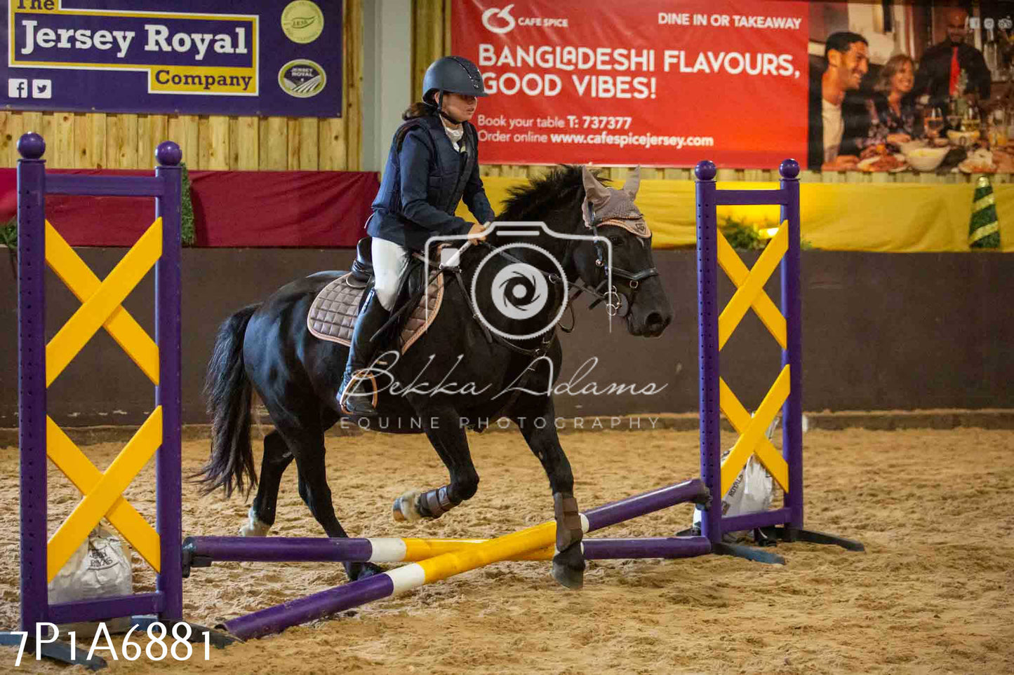 JHOYS 2023 - 16th September - Show Jumping Pt1