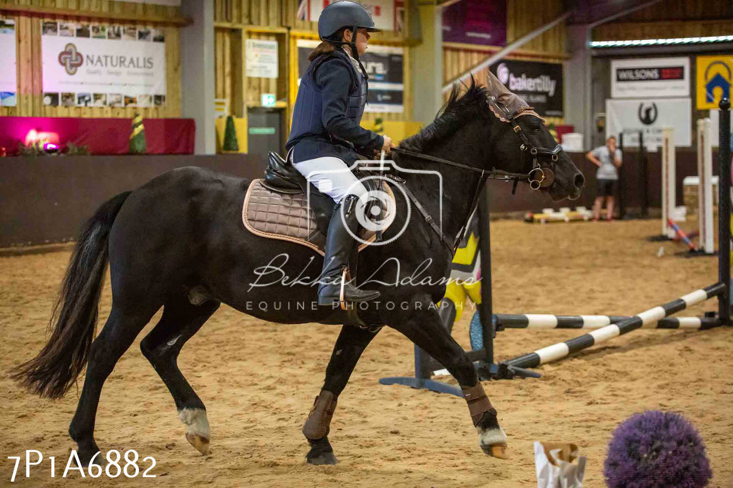 JHOYS 2023 - 16th September - Show Jumping Pt1