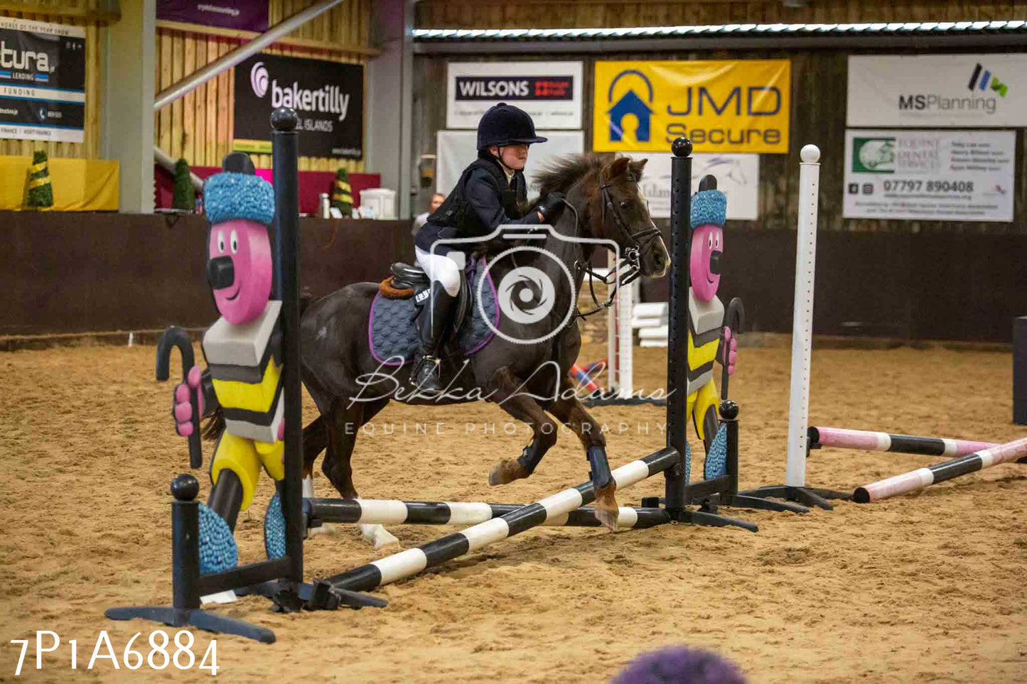 JHOYS 2023 - 16th September - Show Jumping Pt1
