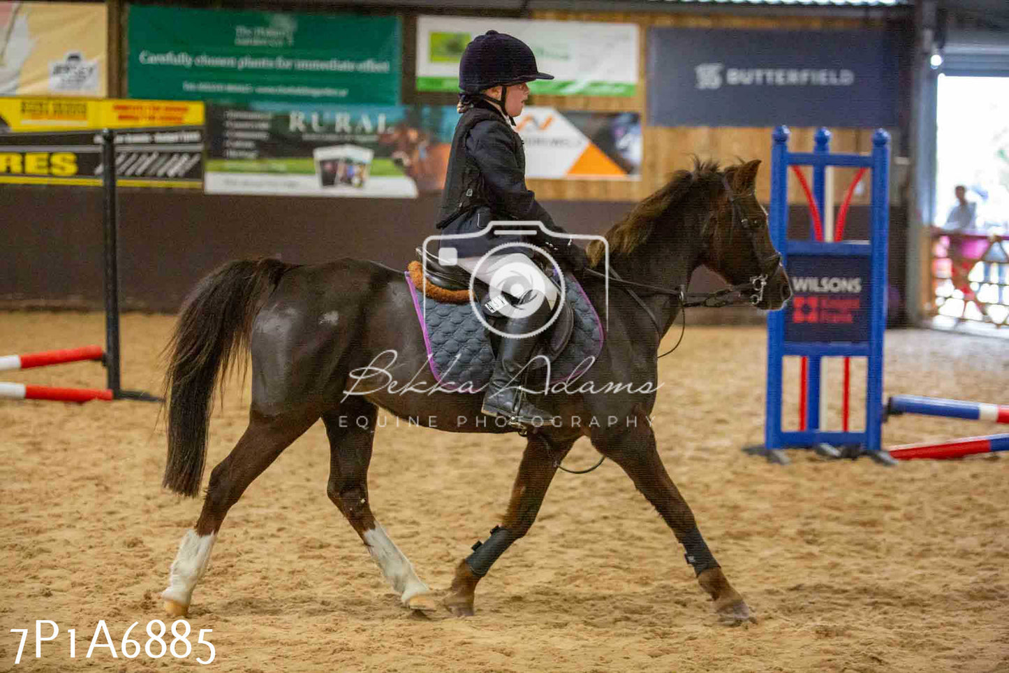 JHOYS 2023 - 16th September - Show Jumping Pt1