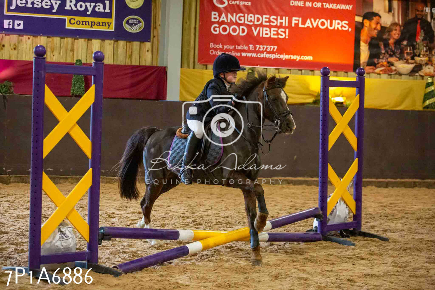 JHOYS 2023 - 16th September - Show Jumping Pt1