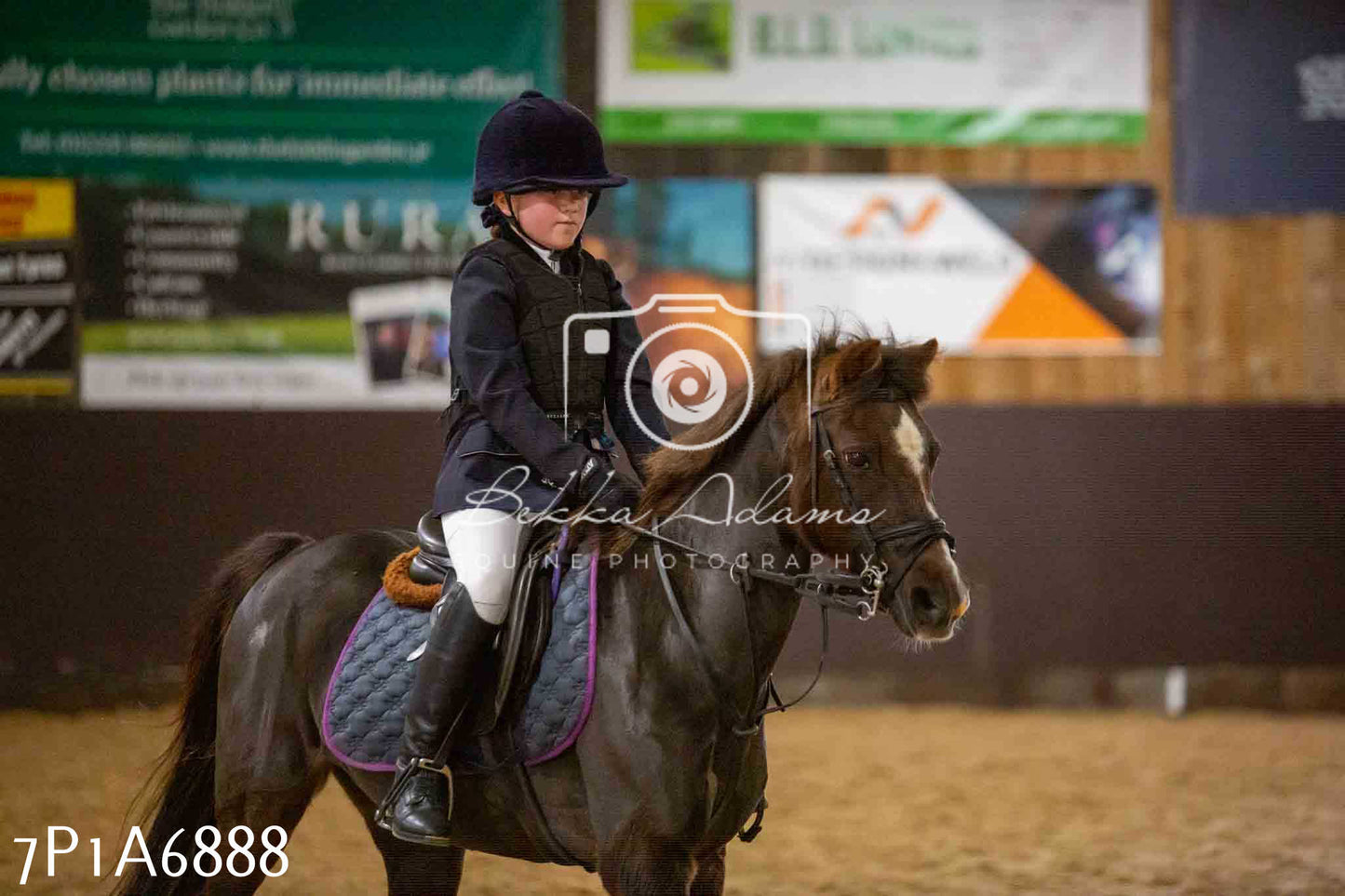 JHOYS 2023 - 16th September - Show Jumping Pt1