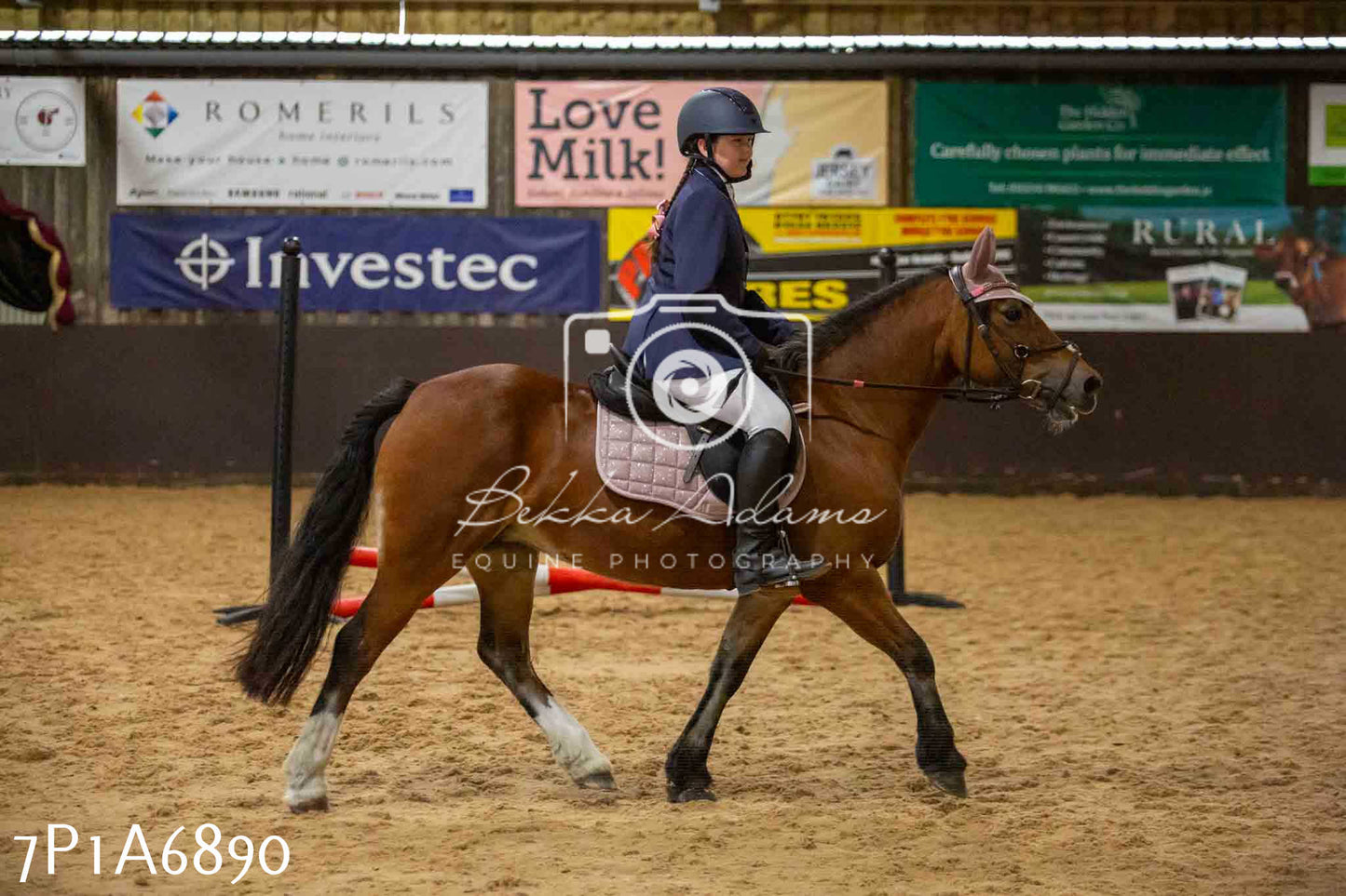 JHOYS 2023 - 16th September - Show Jumping Pt1