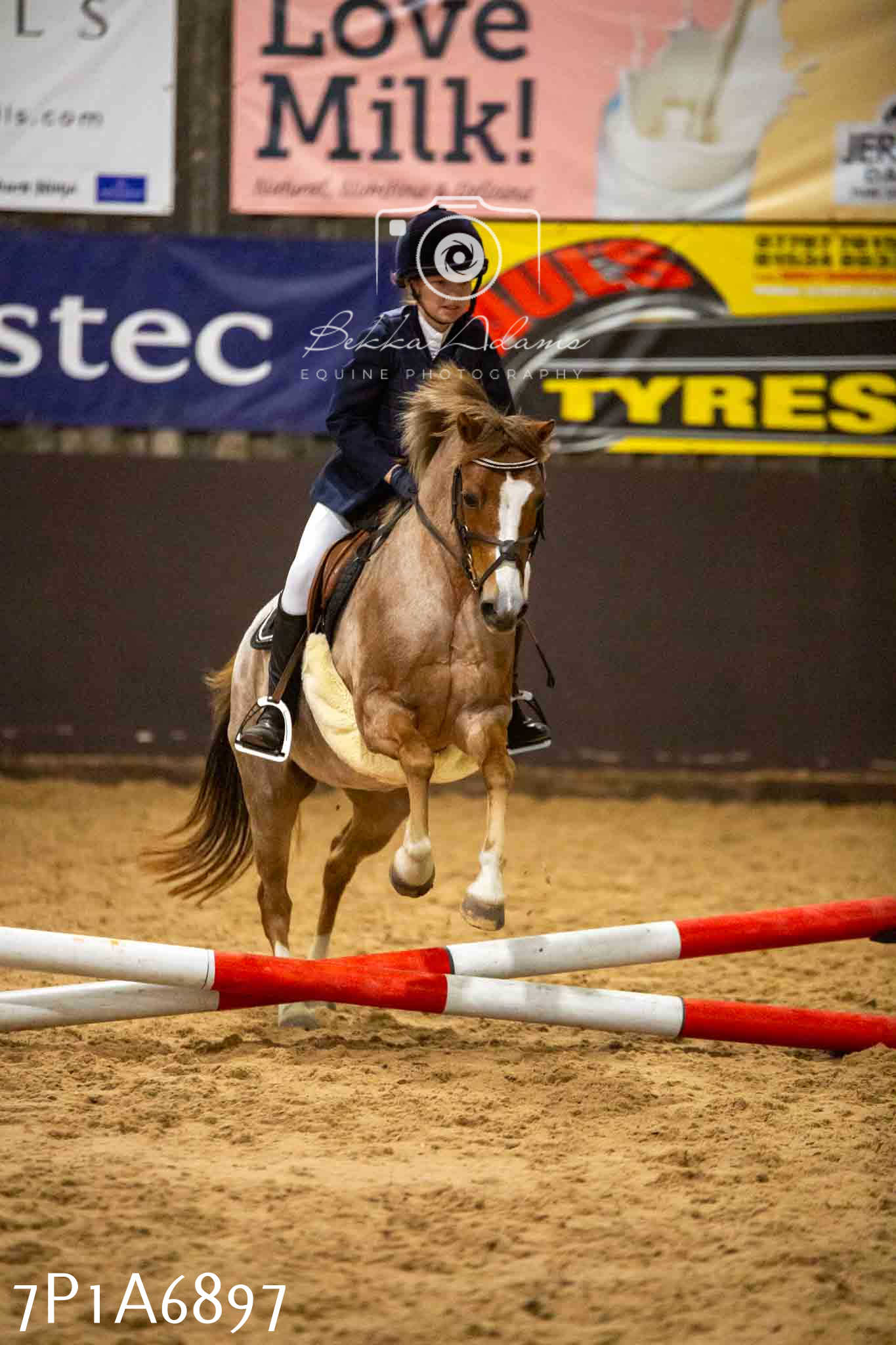 JHOYS 2023 - 16th September - Show Jumping Pt1