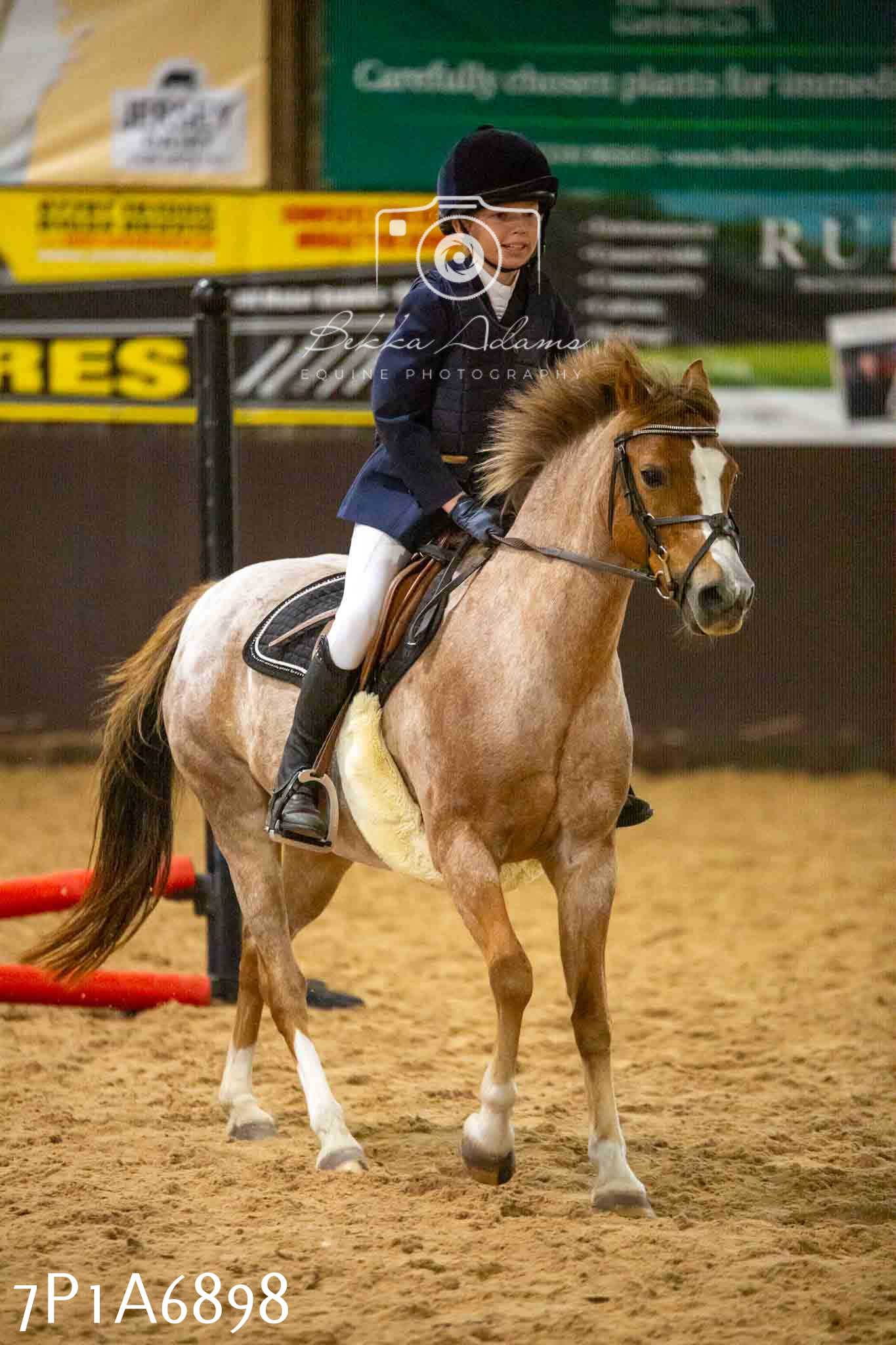 JHOYS 2023 - 16th September - Show Jumping Pt1