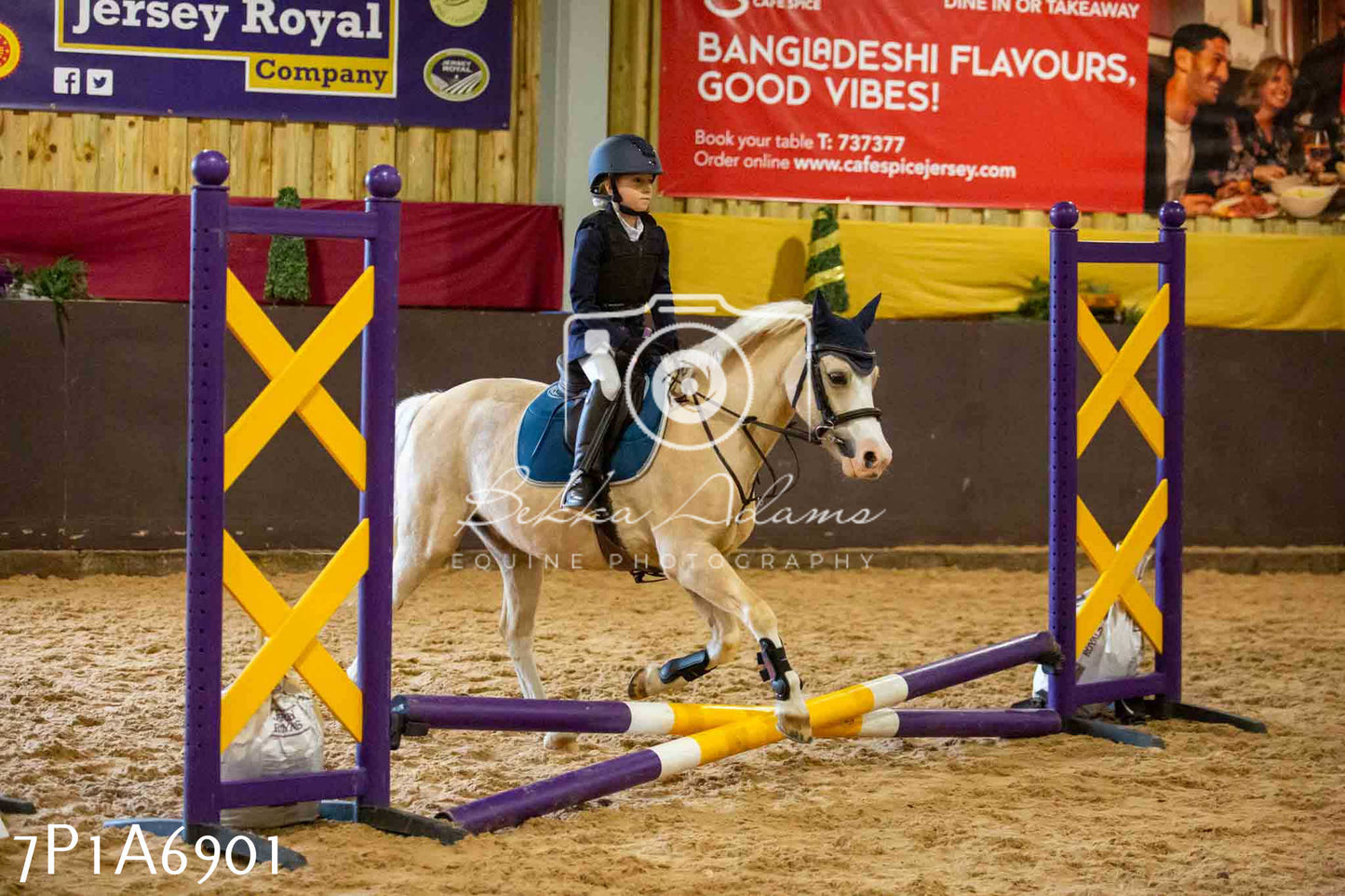 JHOYS 2023 - 16th September - Show Jumping Pt1