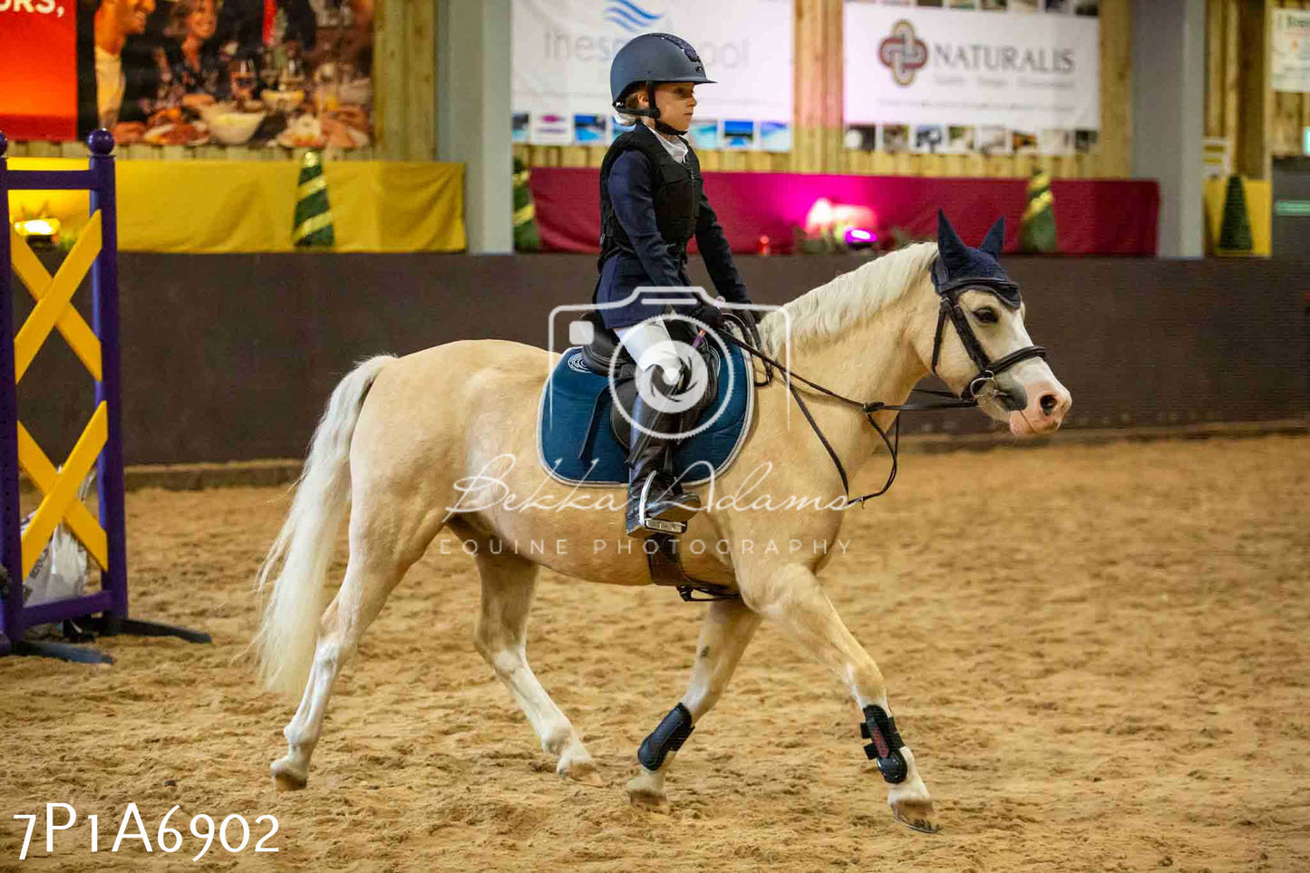 JHOYS 2023 - 16th September - Show Jumping Pt1