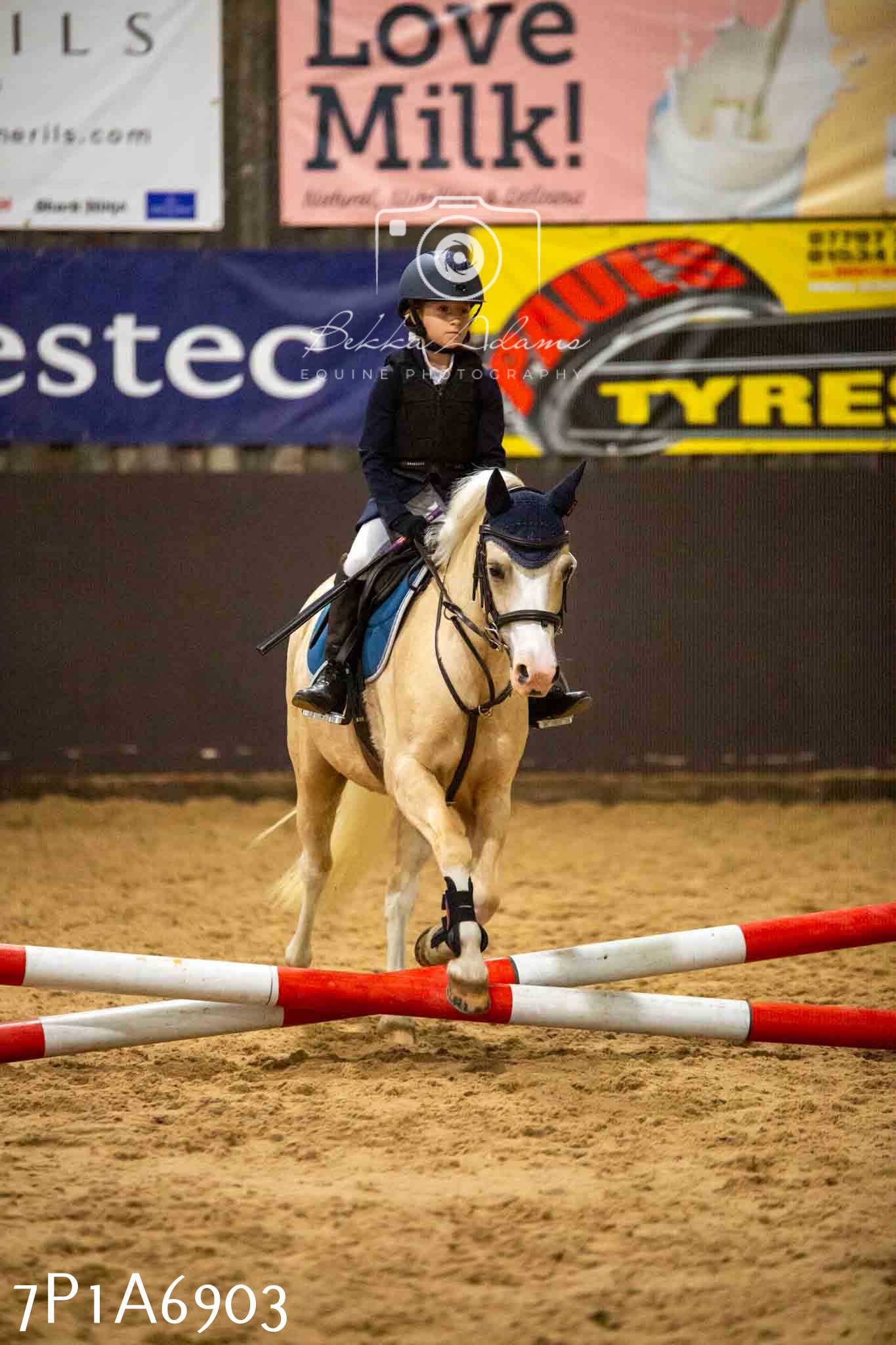 JHOYS 2023 - 16th September - Show Jumping Pt1