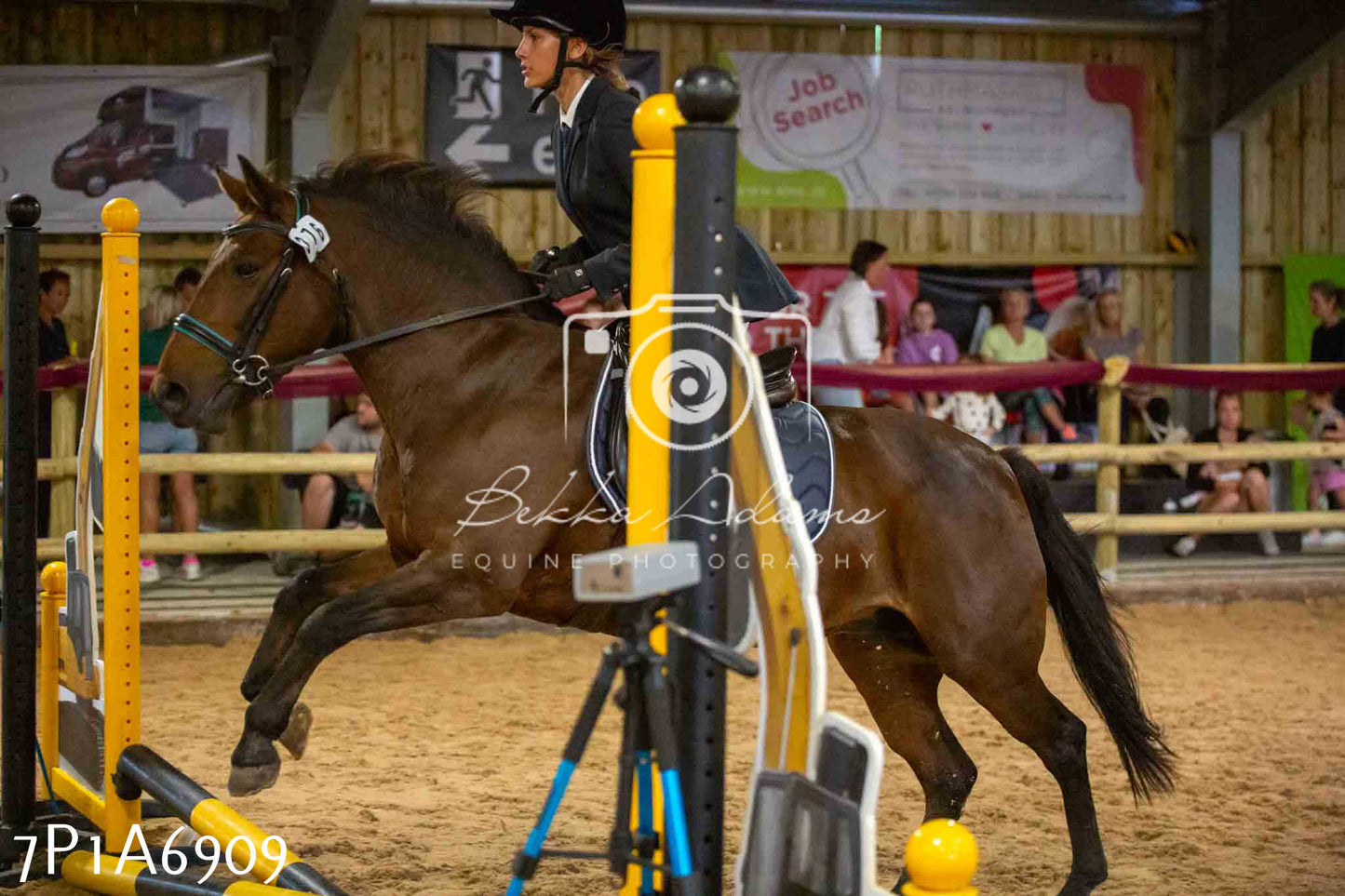 JHOYS 2023 - 16th September - Show Jumping Pt1
