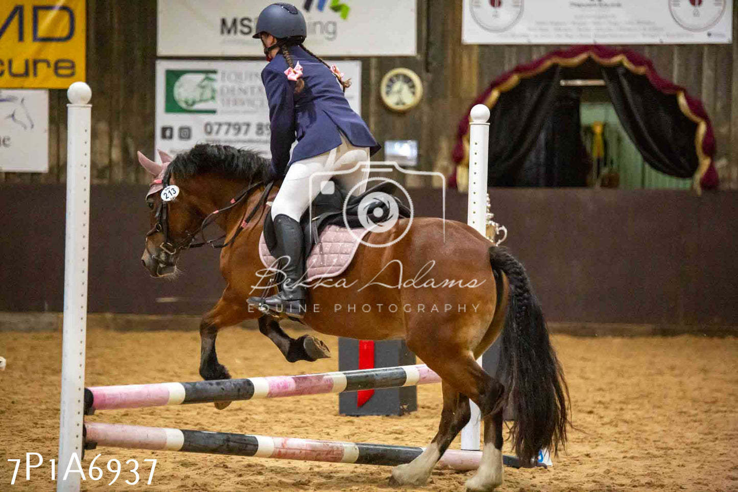 JHOYS 2023 - 16th September - Show Jumping Pt1