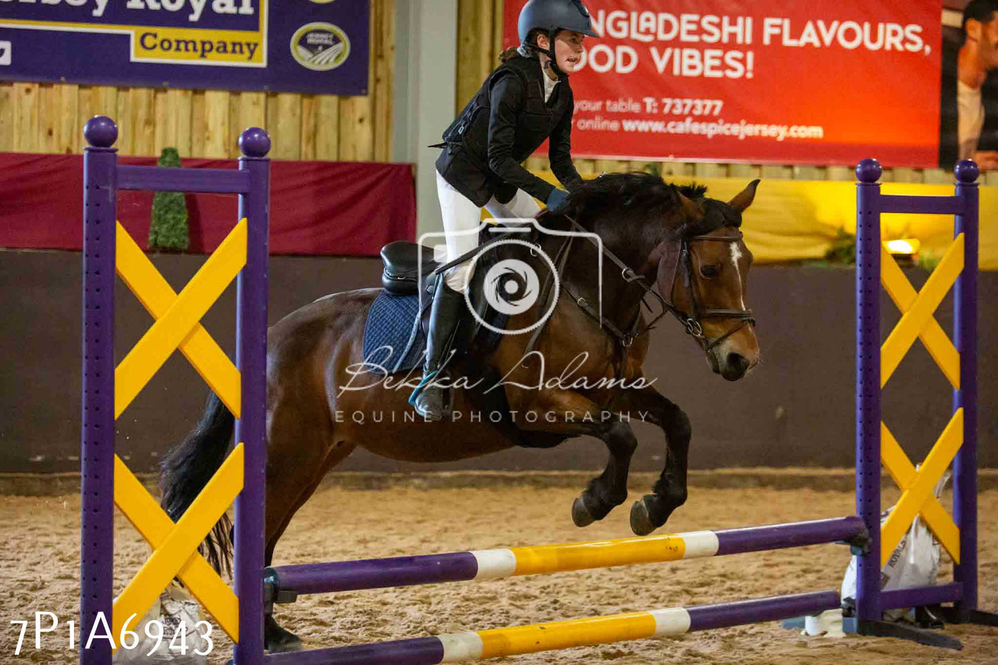 JHOYS 2023 - 16th September - Show Jumping Pt1