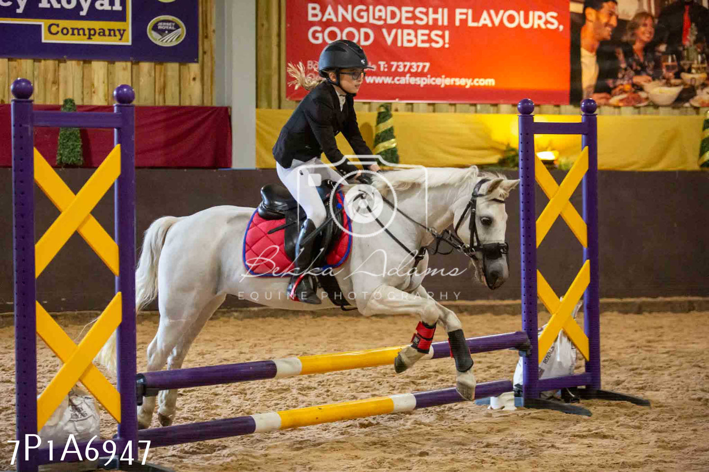JHOYS 2023 - 16th September - Show Jumping Pt1