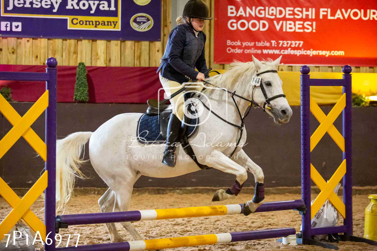 JHOYS 2023 - 16th September - Show Jumping Pt1