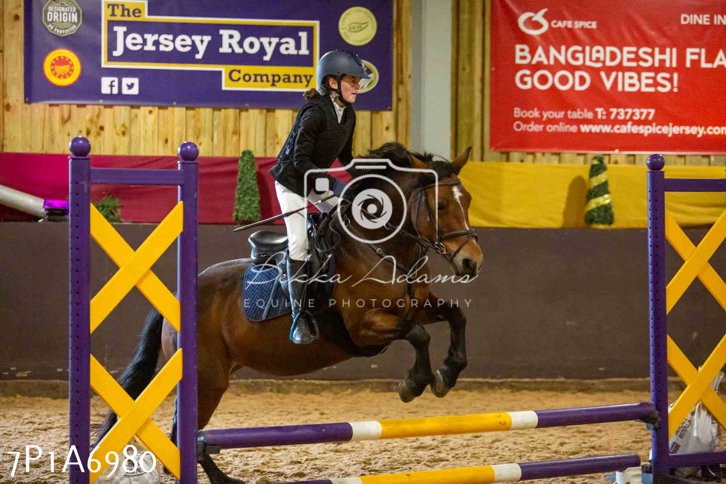 JHOYS 2023 - 16th September - Show Jumping Pt1