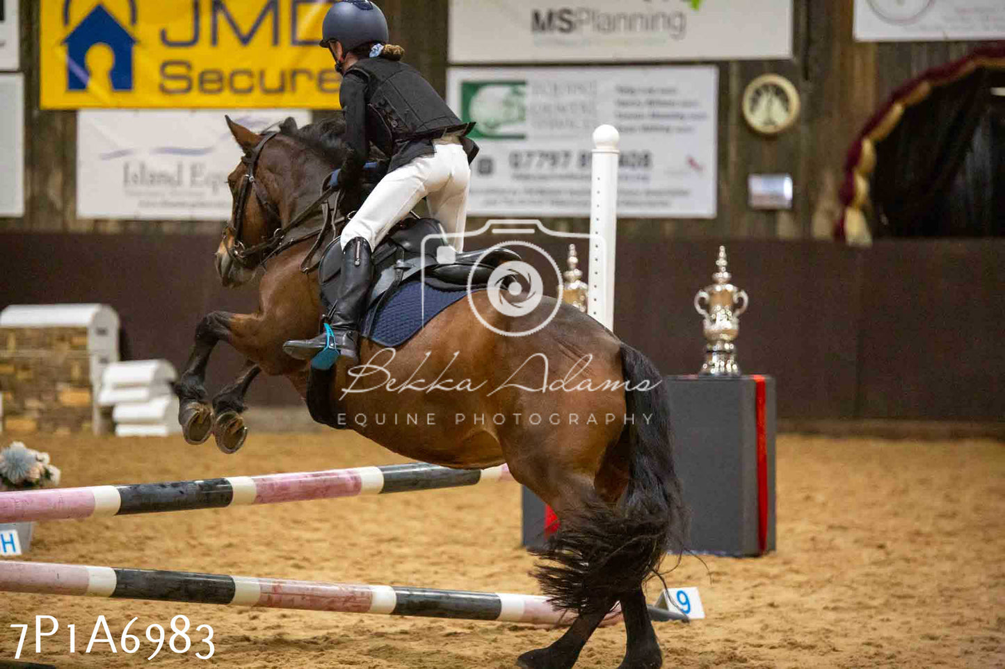 JHOYS 2023 - 16th September - Show Jumping Pt1