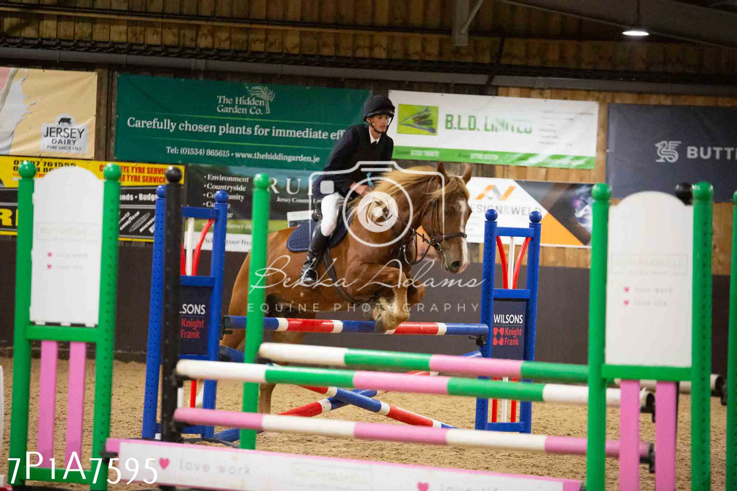 JHOYS 2023 - 16th September - Puissance