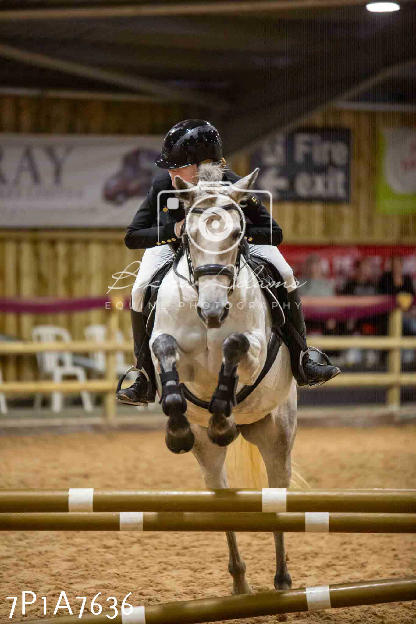 JHOYS 2023 - 17th September - Show Jumping Pt1