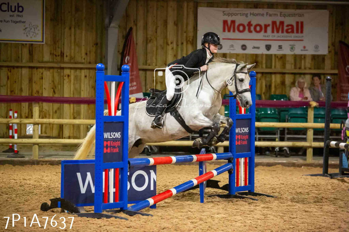 JHOYS 2023 - 17th September - Show Jumping Pt1