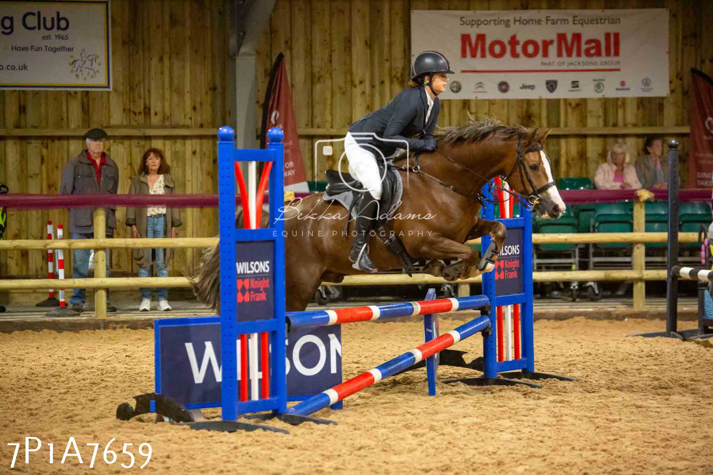 JHOYS 2023 - 17th September - Show Jumping Pt1