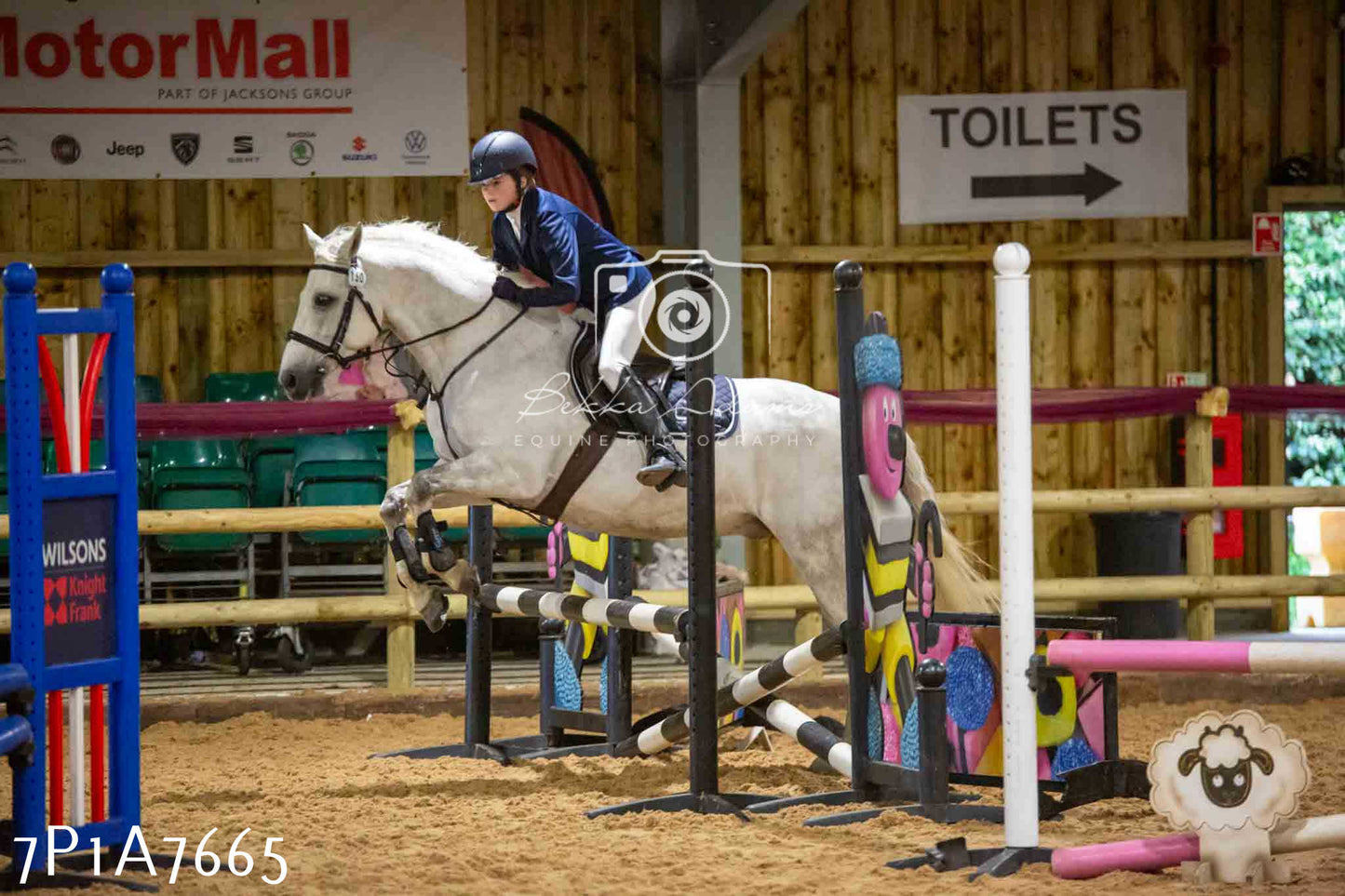 JHOYS 2023 - 17th September - Show Jumping Pt1