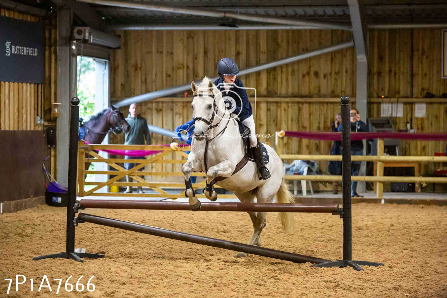 JHOYS 2023 - 17th September - Show Jumping Pt1