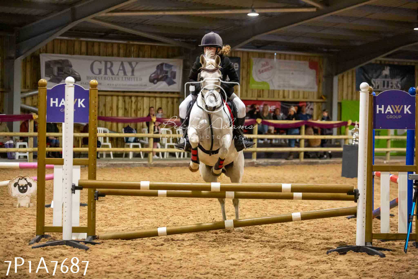 JHOYS 2023 - 17th September - Show Jumping Pt1