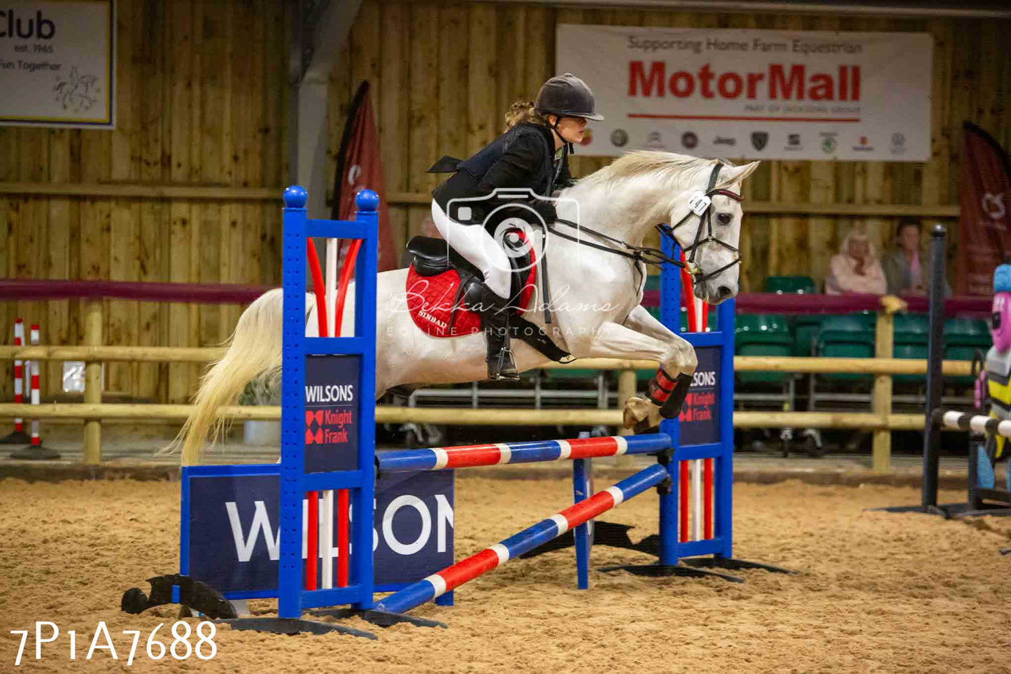 JHOYS 2023 - 17th September - Show Jumping Pt1