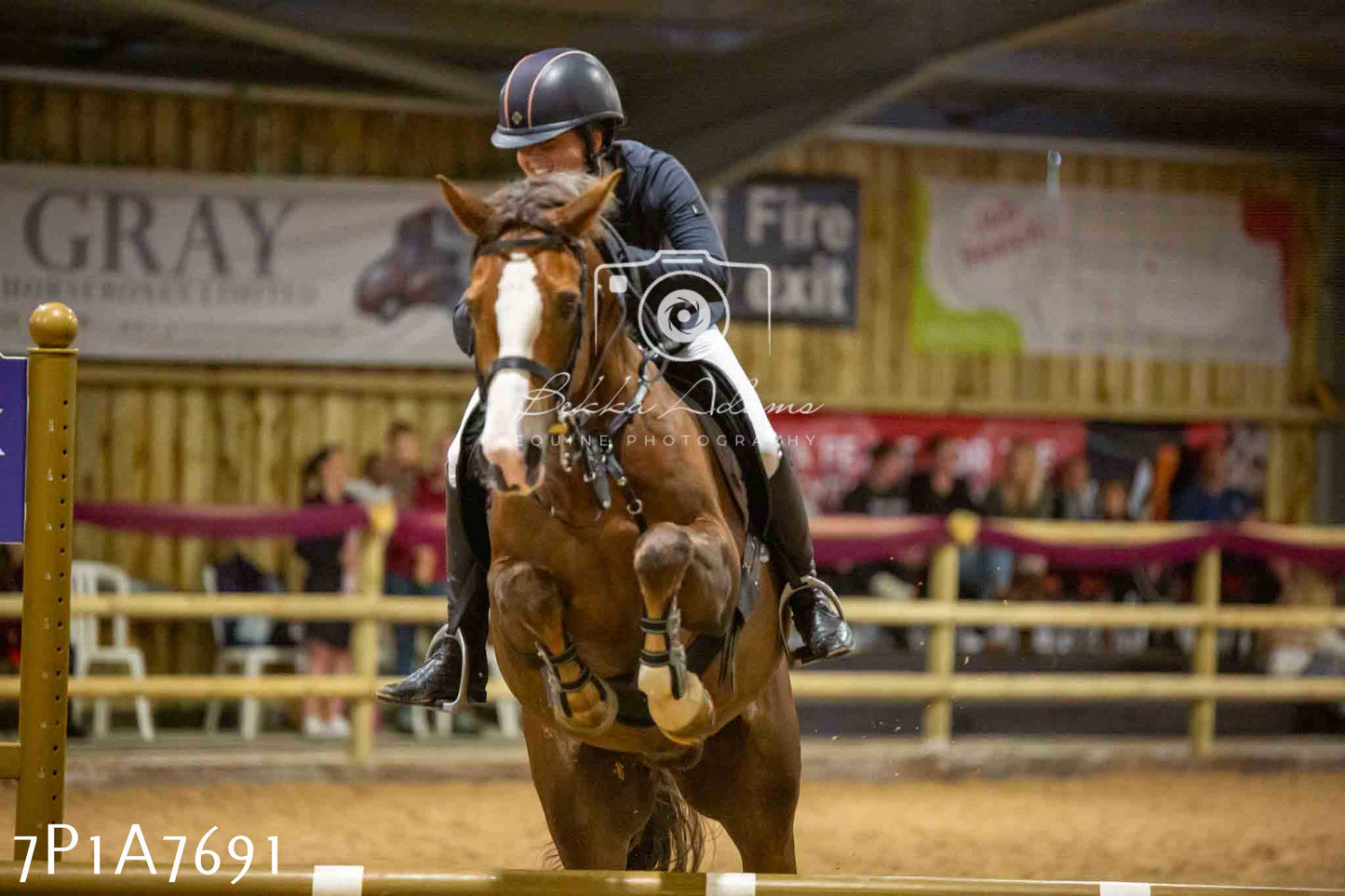 JHOYS 2023 - 17th September - Show Jumping Pt1