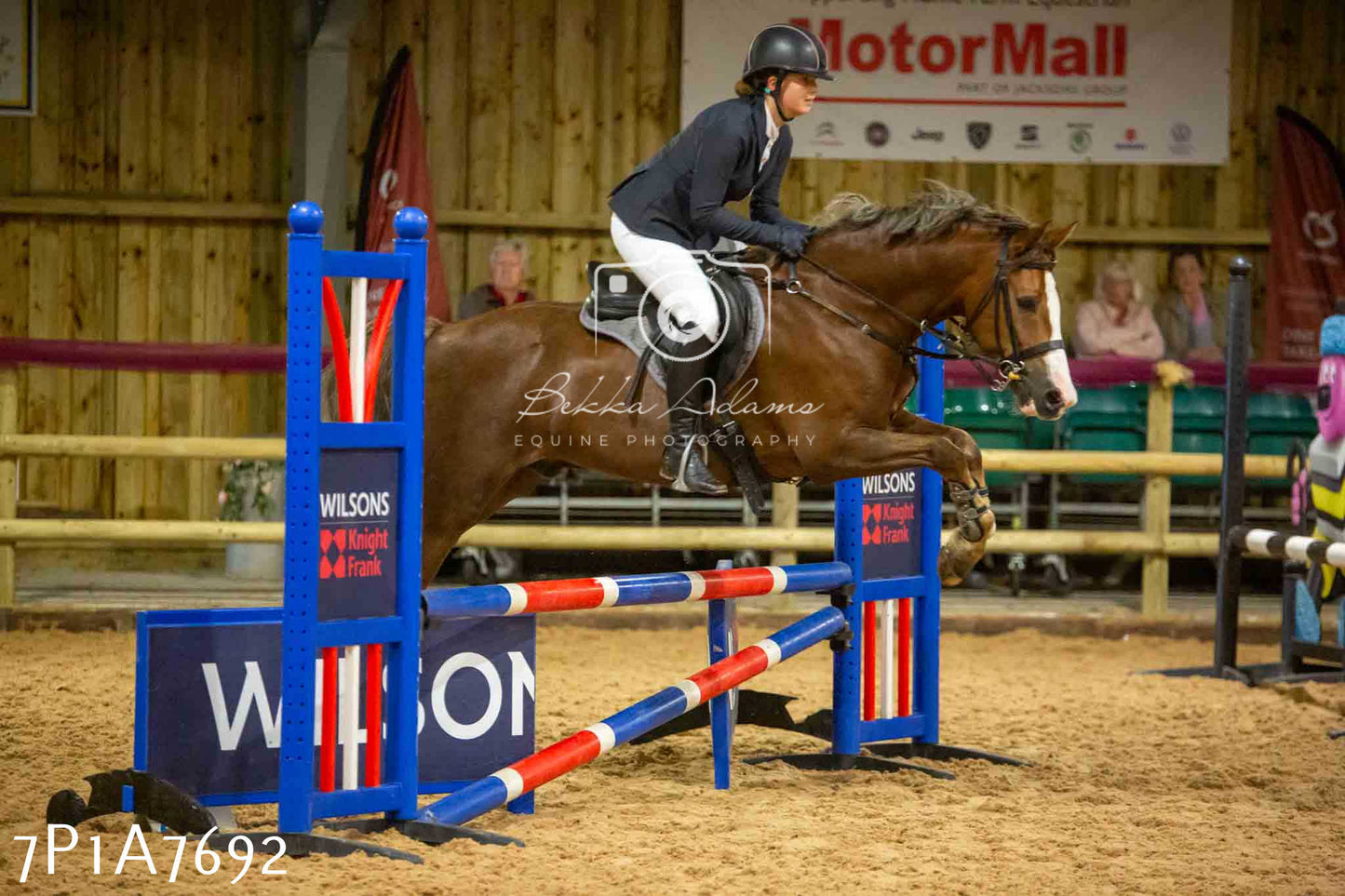 JHOYS 2023 - 17th September - Show Jumping Pt1