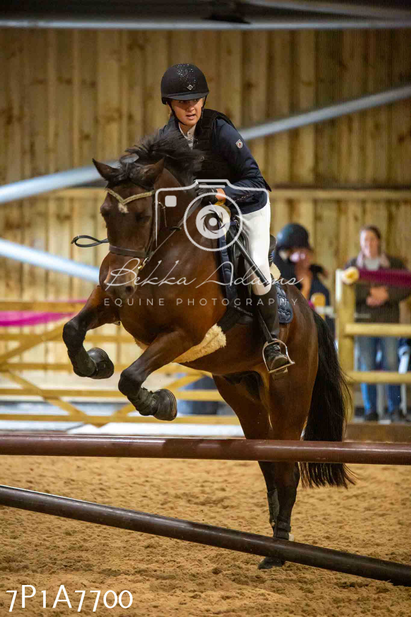 JHOYS 2023 - 17th September - Show Jumping Pt1