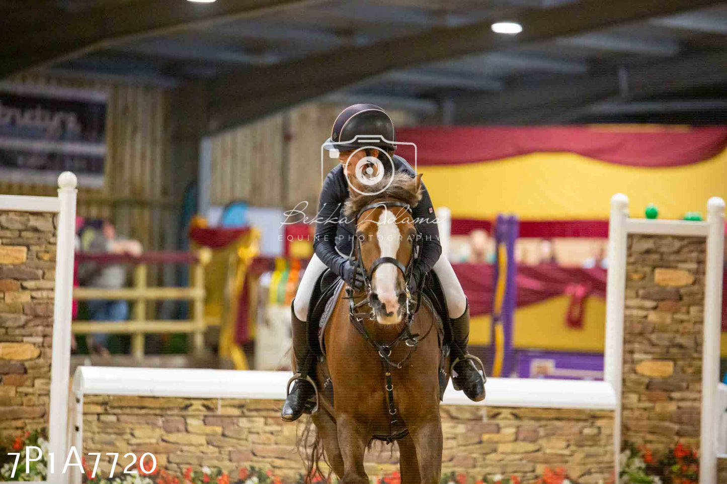 JHOYS 2023 - 17th September - Show Jumping Pt1