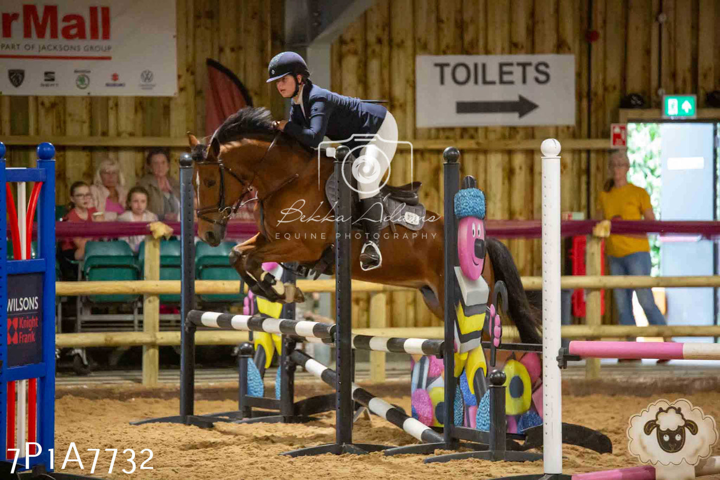 JHOYS 2023 - 17th September - Show Jumping Pt1