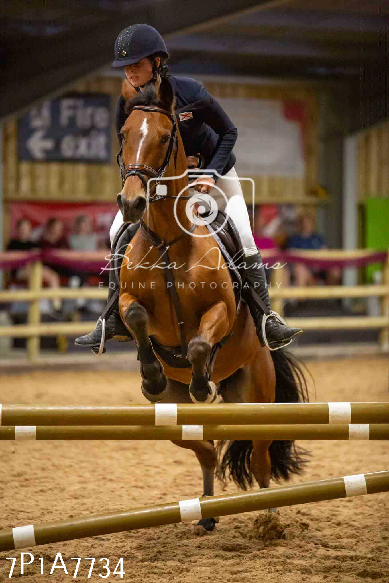 JHOYS 2023 - 17th September - Show Jumping Pt1