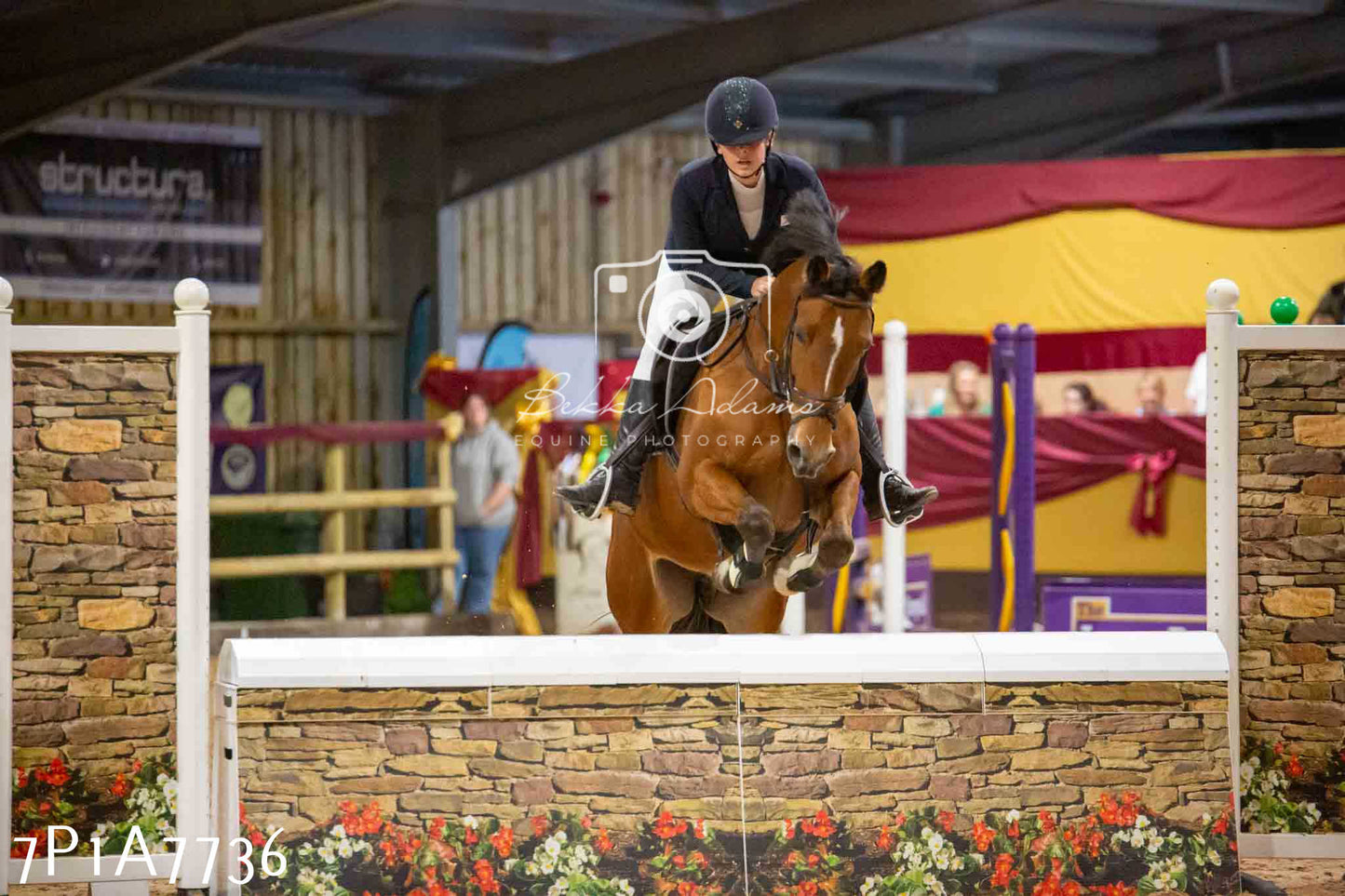 JHOYS 2023 - 17th September - Show Jumping Pt1