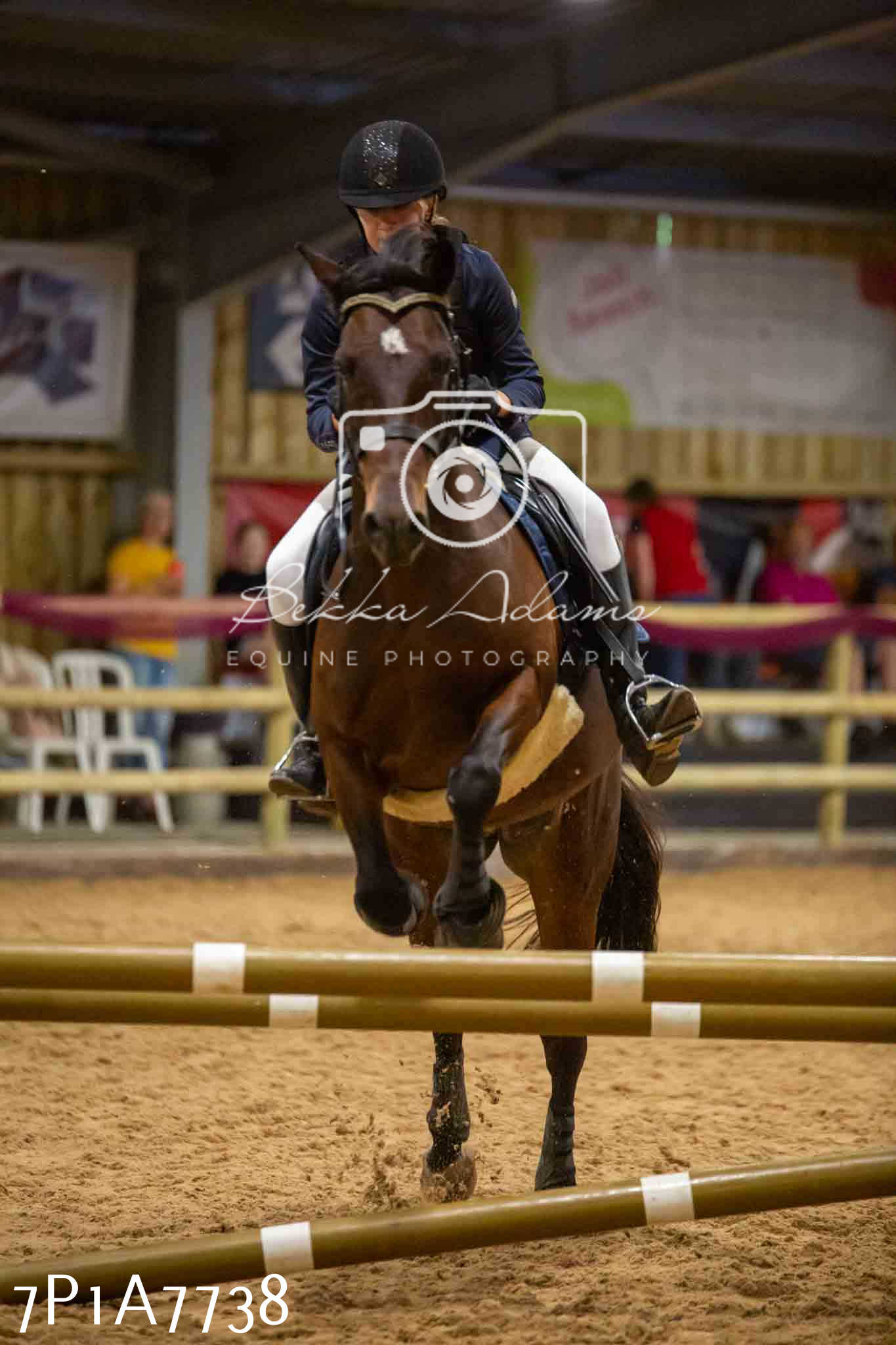 JHOYS 2023 - 17th September - Show Jumping Pt1