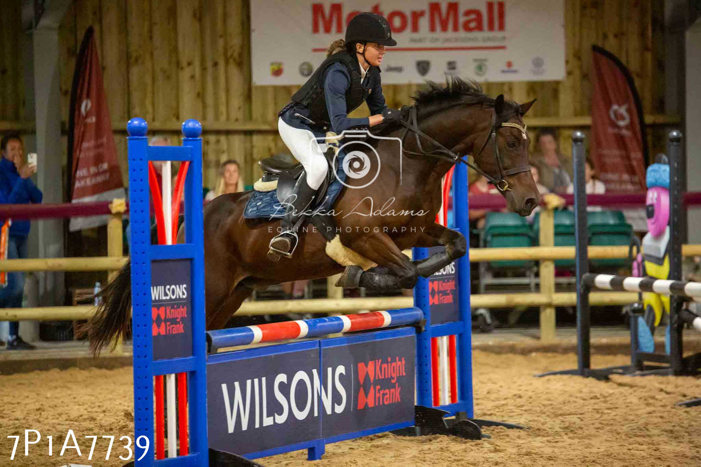 JHOYS 2023 - 17th September - Show Jumping Pt1