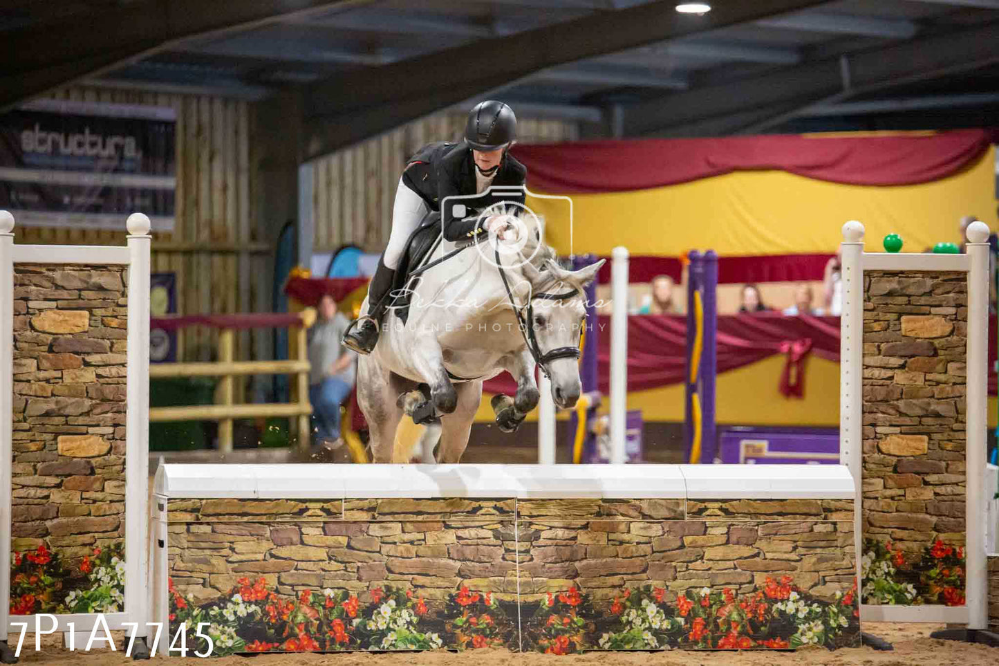 JHOYS 2023 - 17th September - Show Jumping Pt1
