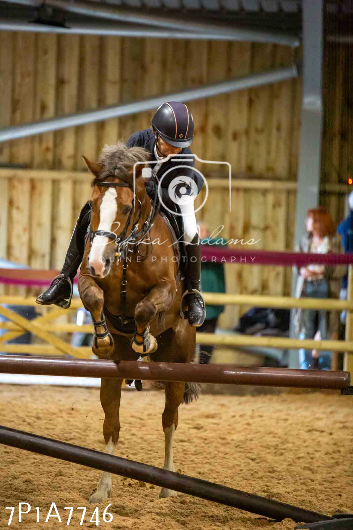 JHOYS 2023 - 17th September - Show Jumping Pt1