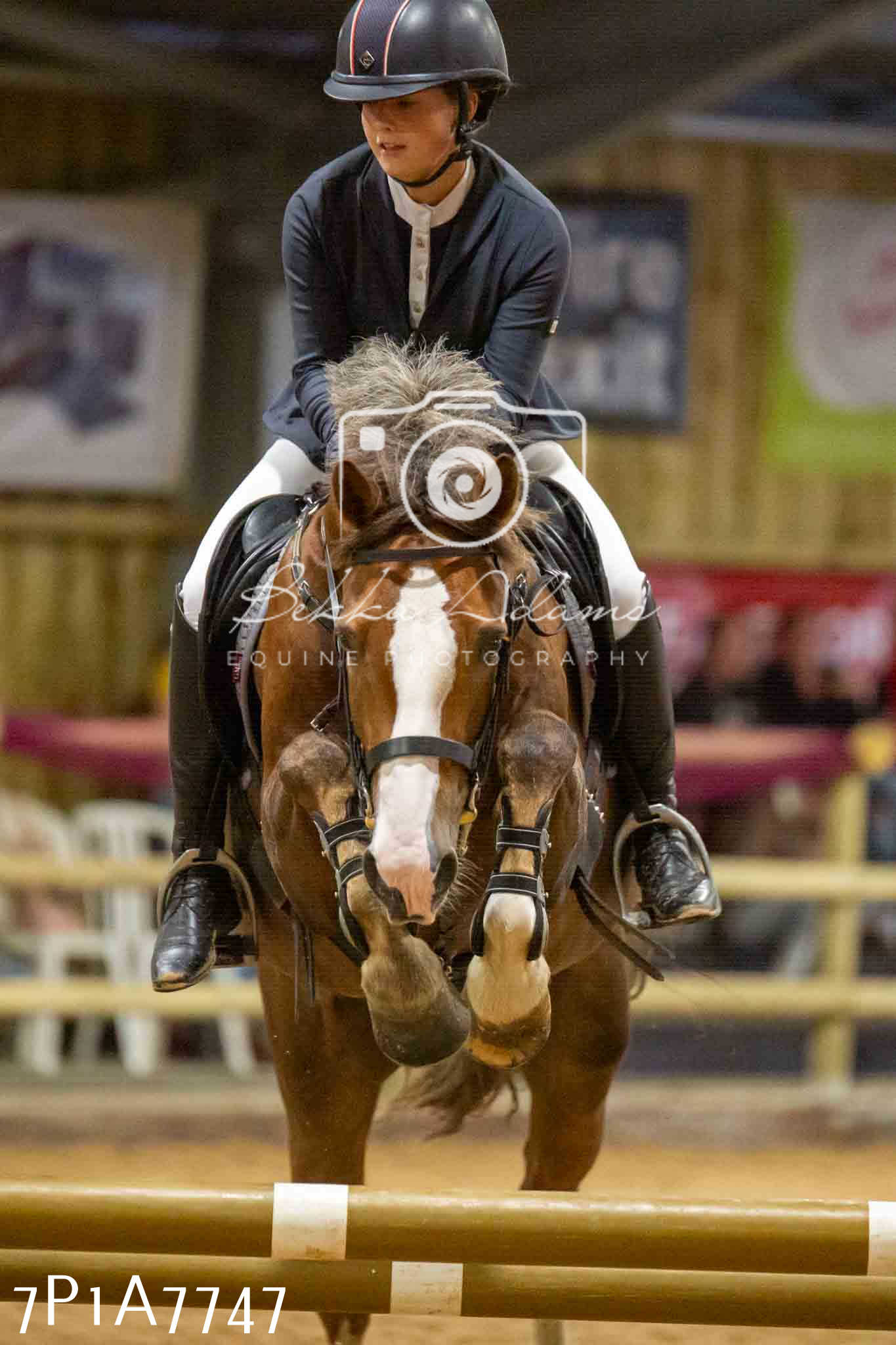JHOYS 2023 - 17th September - Show Jumping Pt1