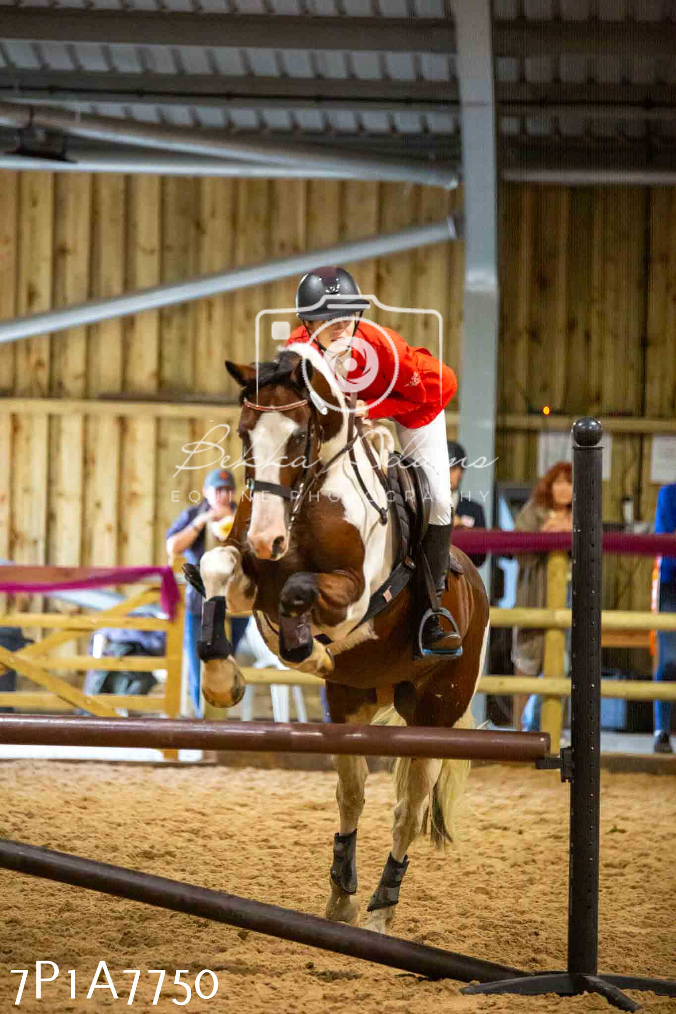 JHOYS 2023 - 17th September - Show Jumping Pt1