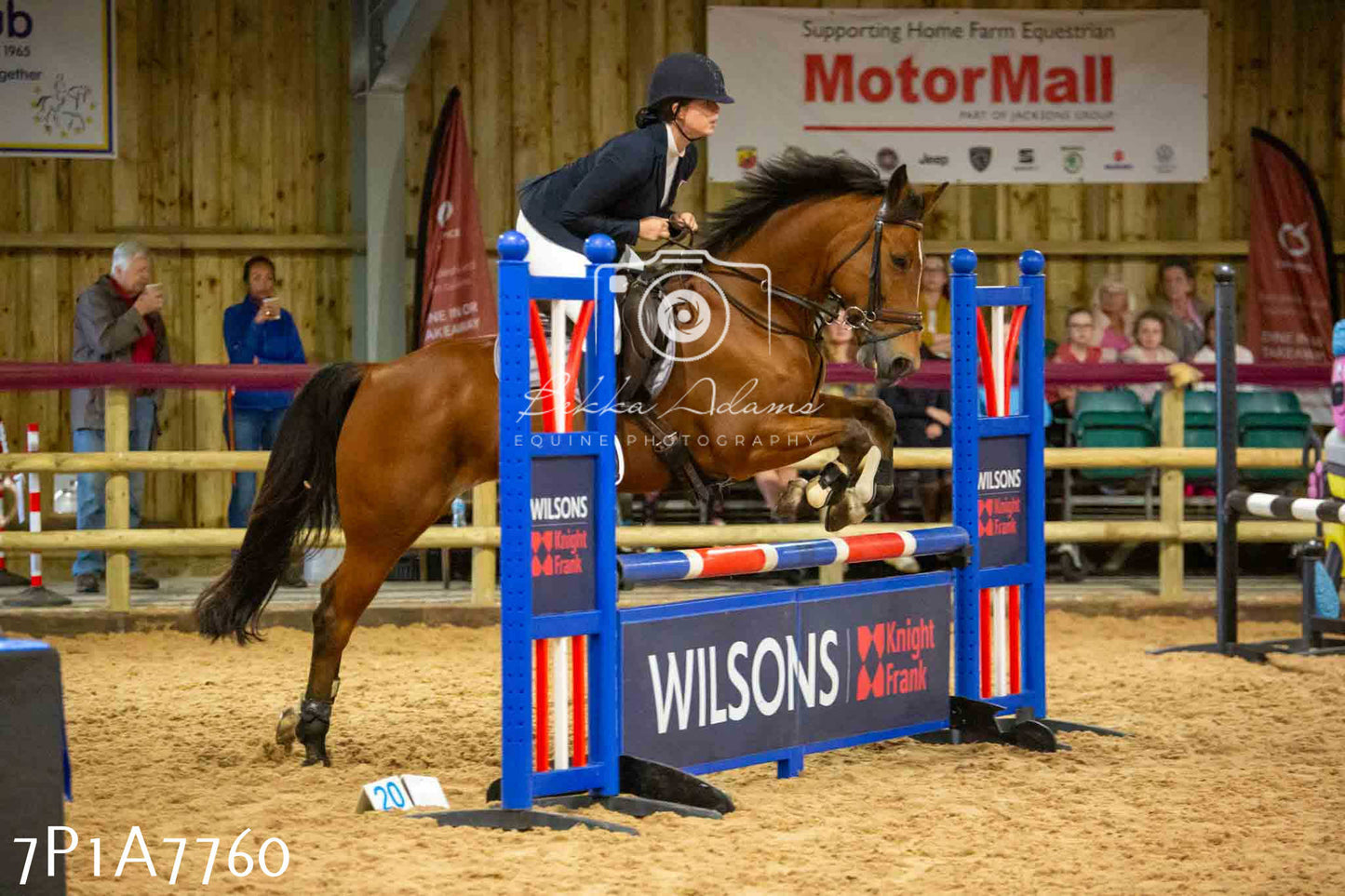 JHOYS 2023 - 17th September - Show Jumping Pt1